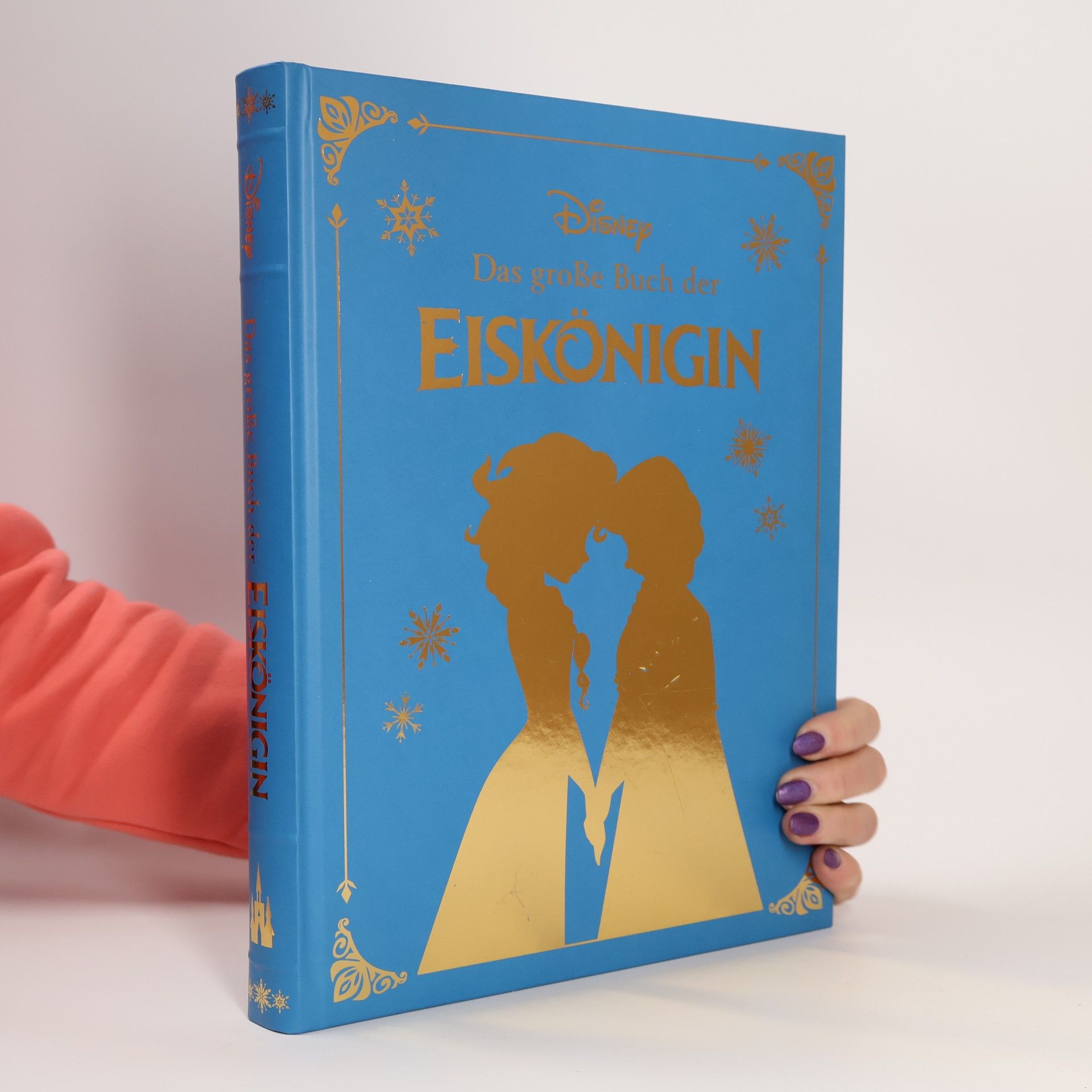 Collectif d'auteurs Das große Buch der Eiskönigin