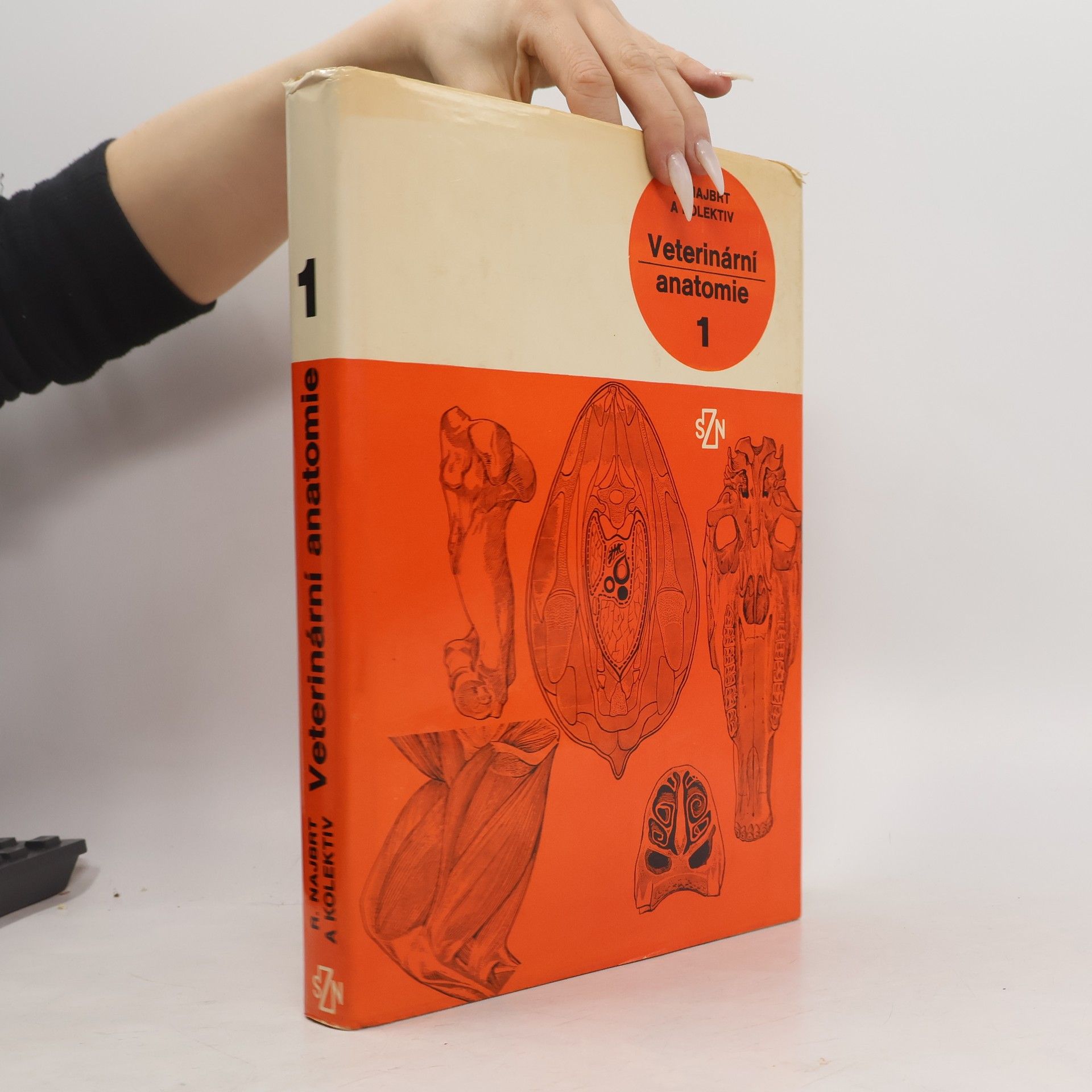 Collectif d'auteurs Veterinární anatomie 1