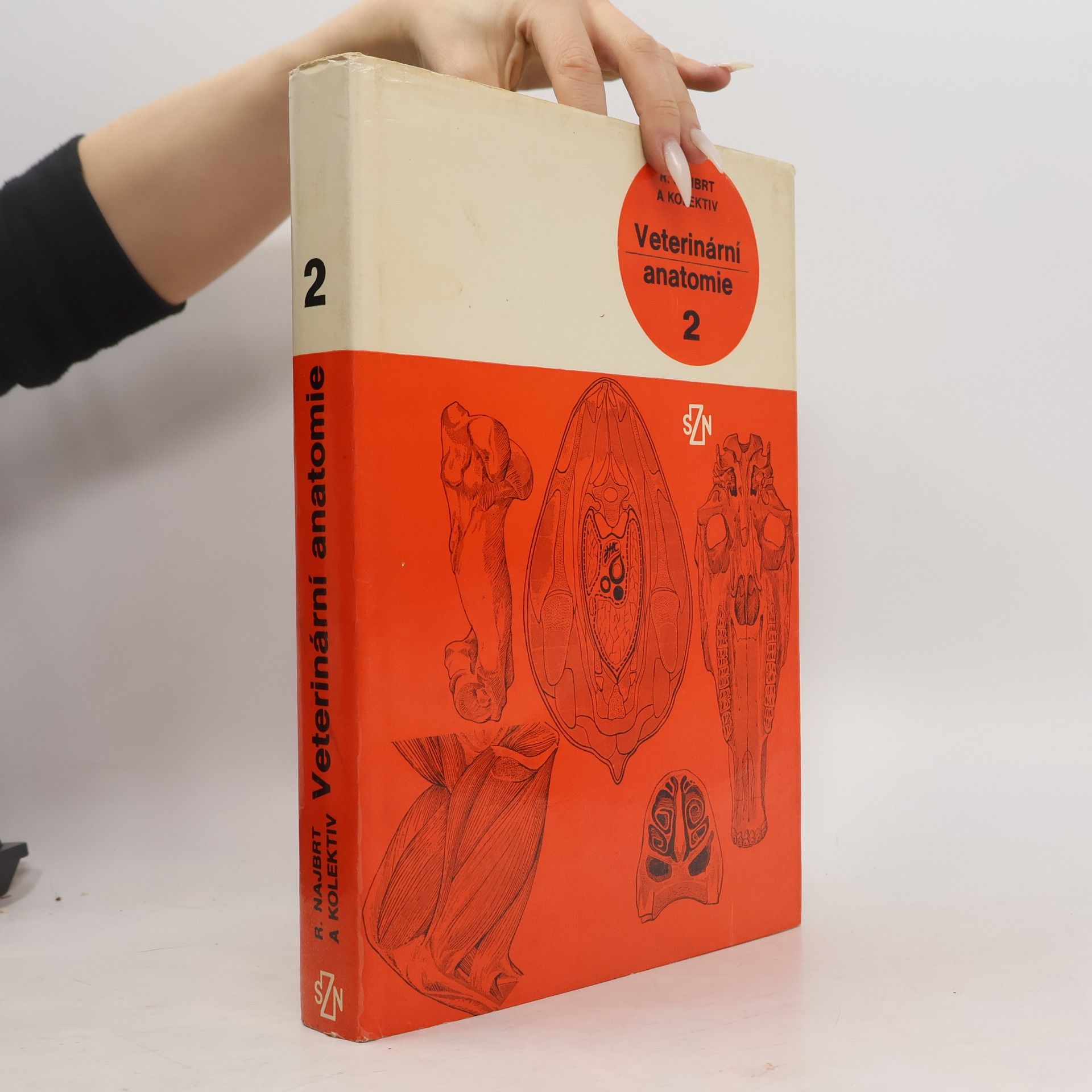 Veterinární anatomie 2