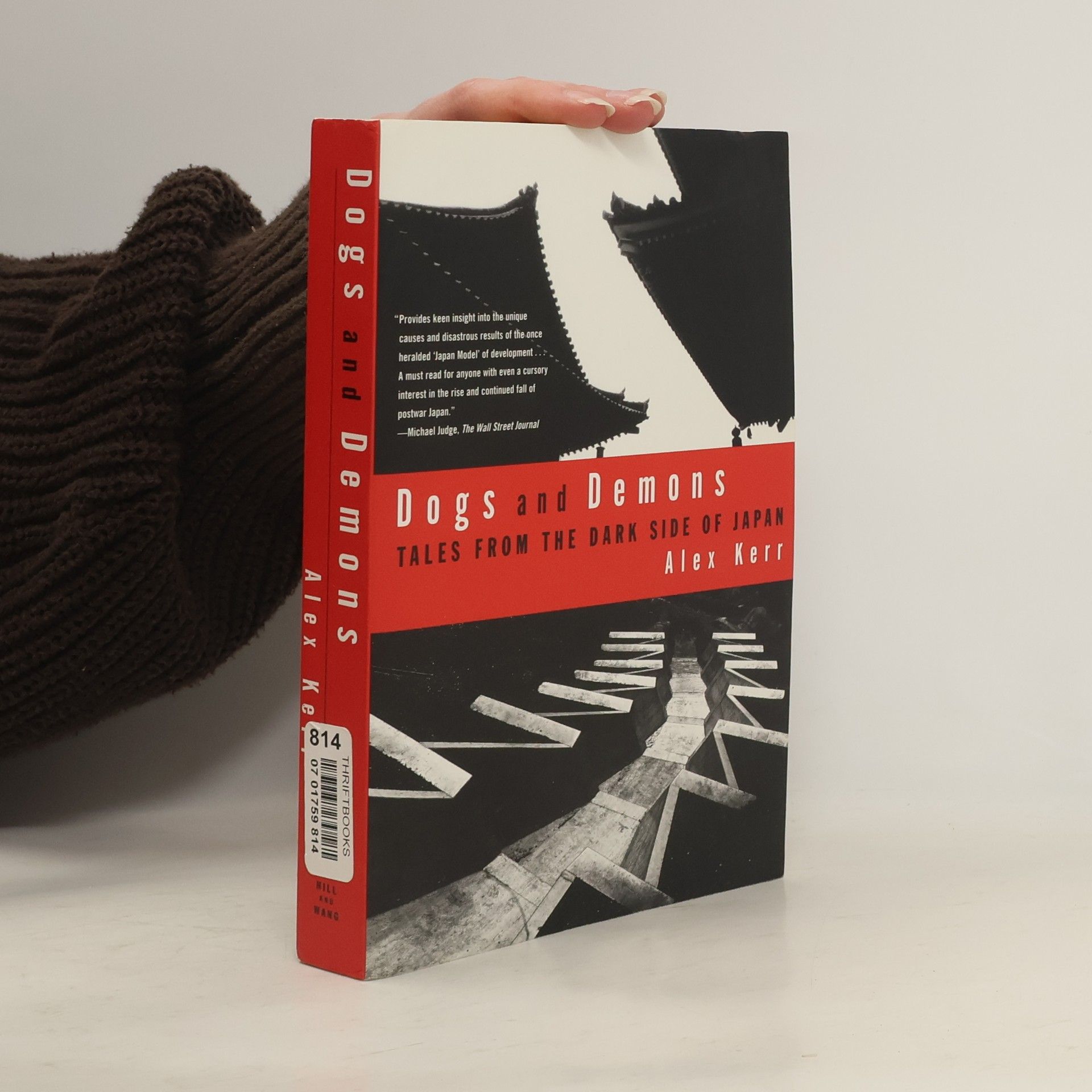 Alex Kerr Dogs and Demons