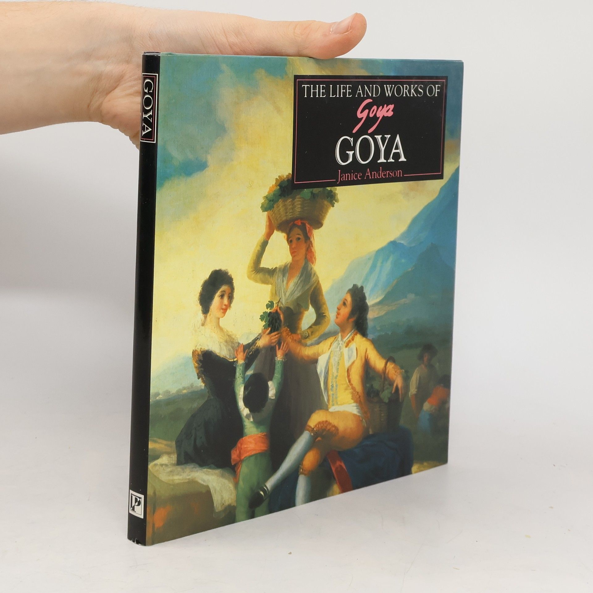 Janice Anderson The Life and Works of Goya
