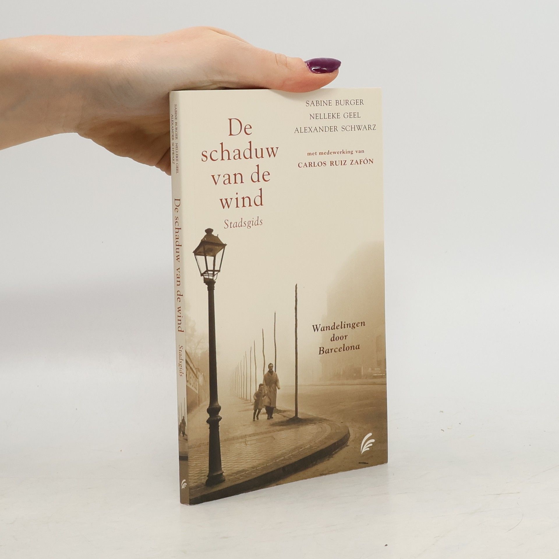 De schaduw van de wind