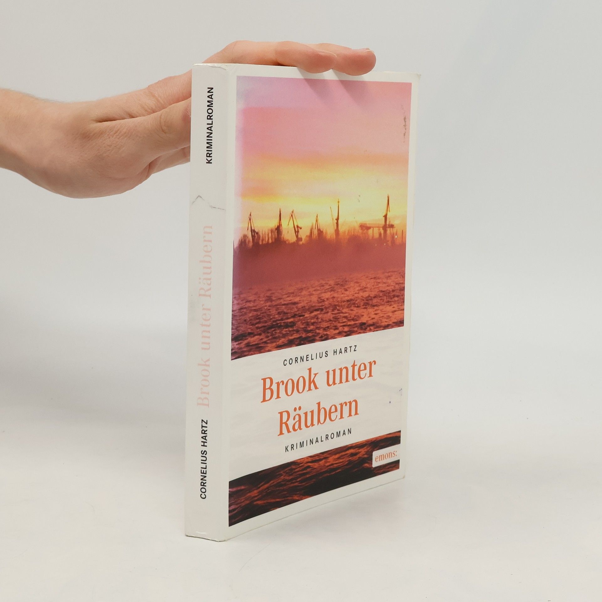 Cornelius Hartz Brook unter Räubern