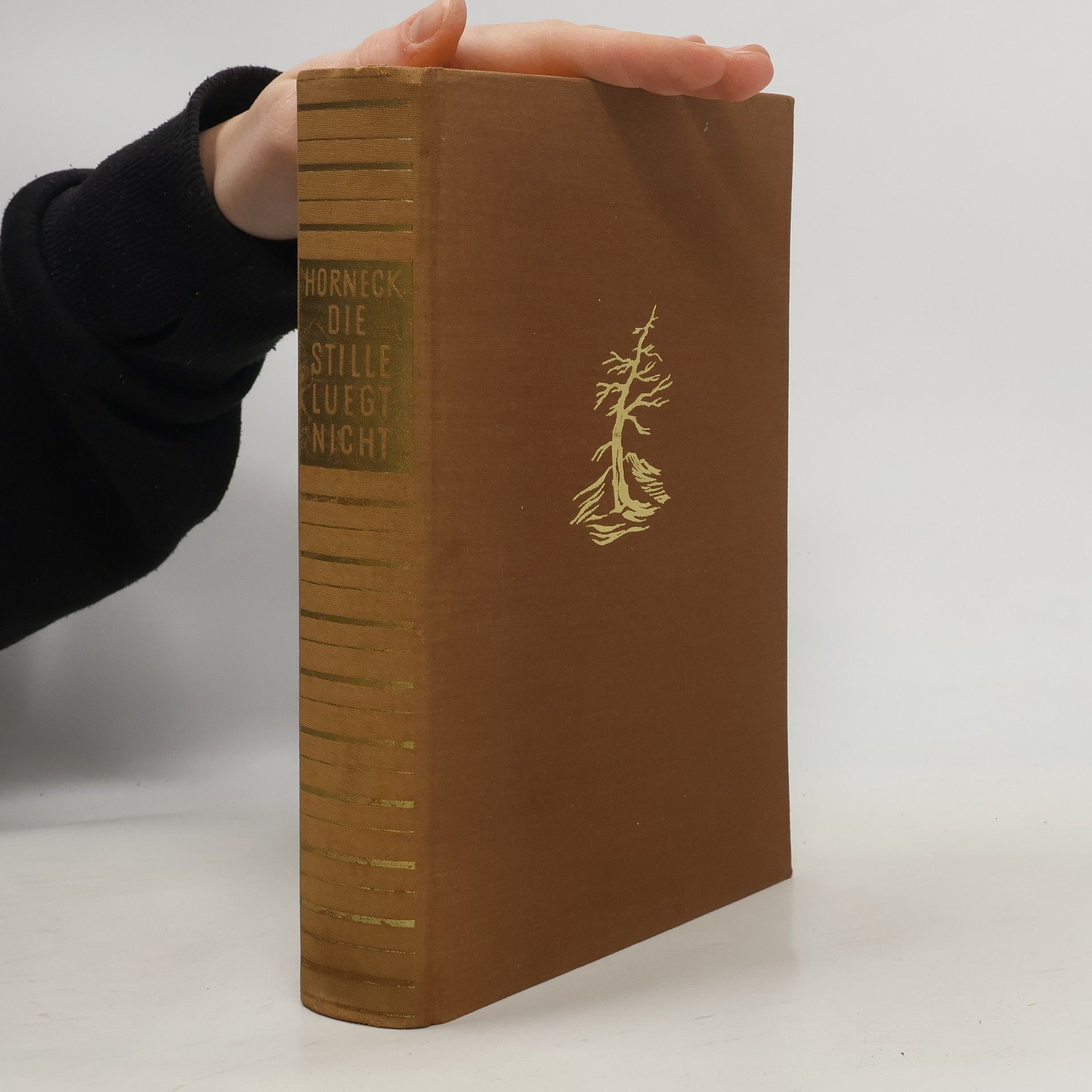 Heribert Horneck Die Stille lügt nicht