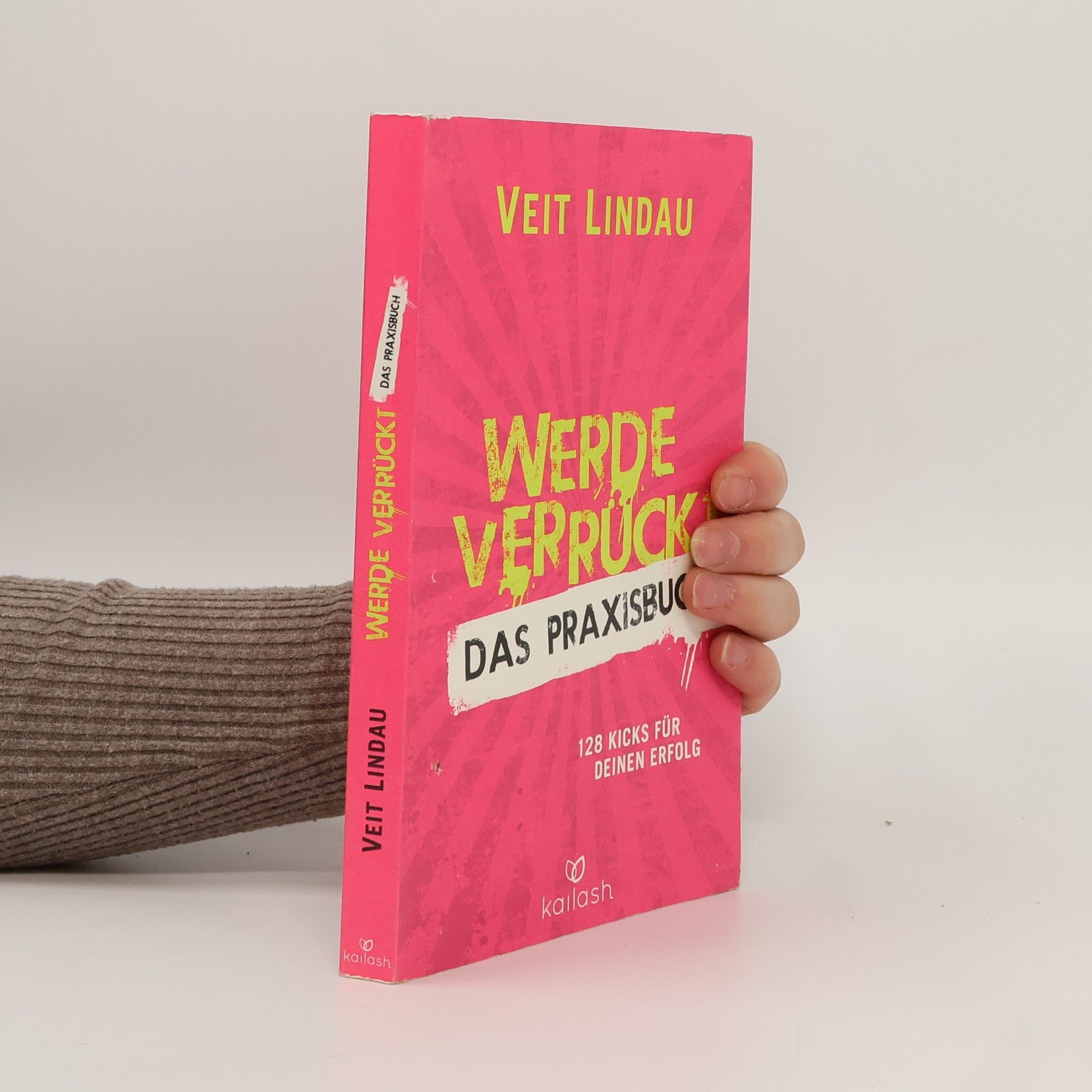 Veit Lindau Werde verrückt – Das Praxisbuch: 128 Kicks für deinen Erfolg