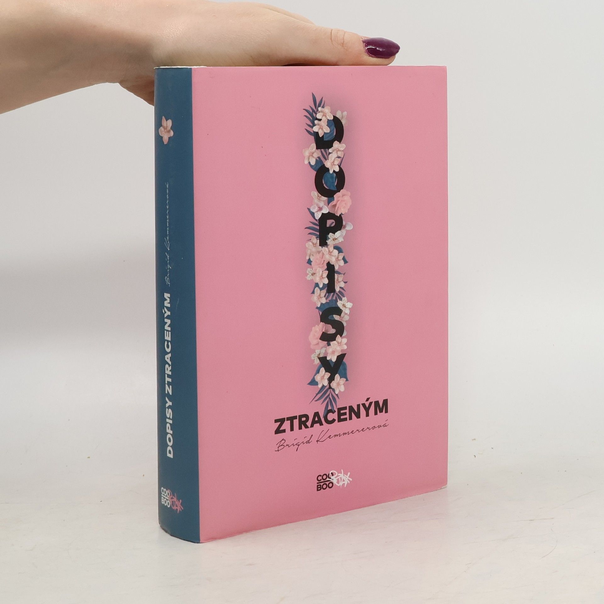 Brigid Kemmerer Dopisy ztraceným