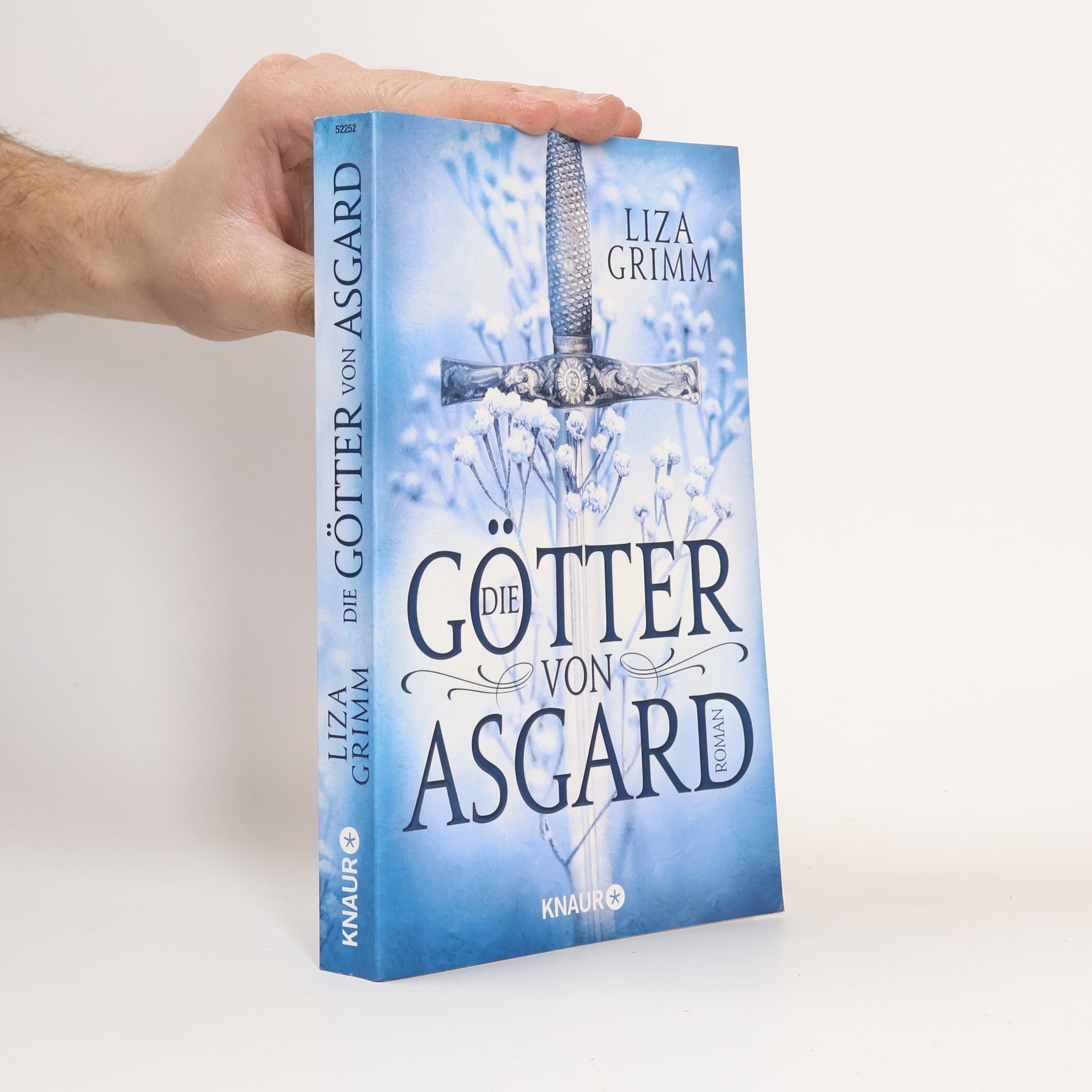 Die Götter von Asgard