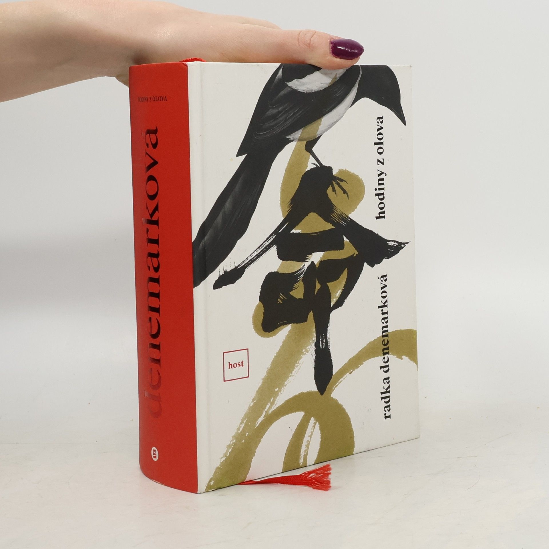 Radka Denemarková Hodiny z olova