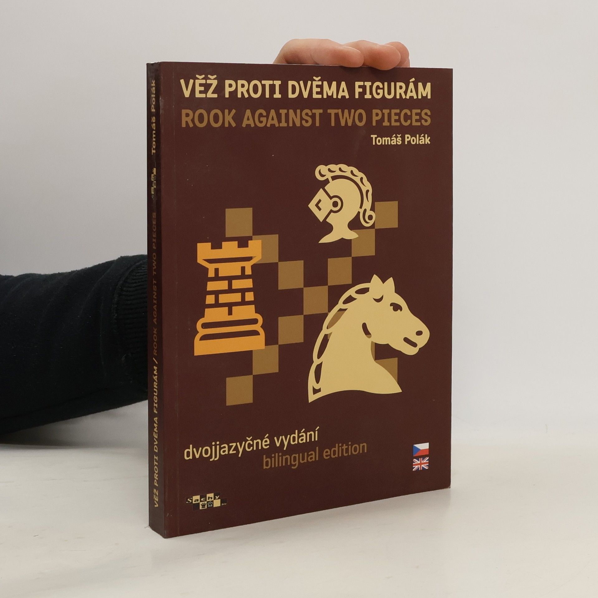 Tomáš Polák Věž proti dvěma figurám. Rook Against Two Pieces