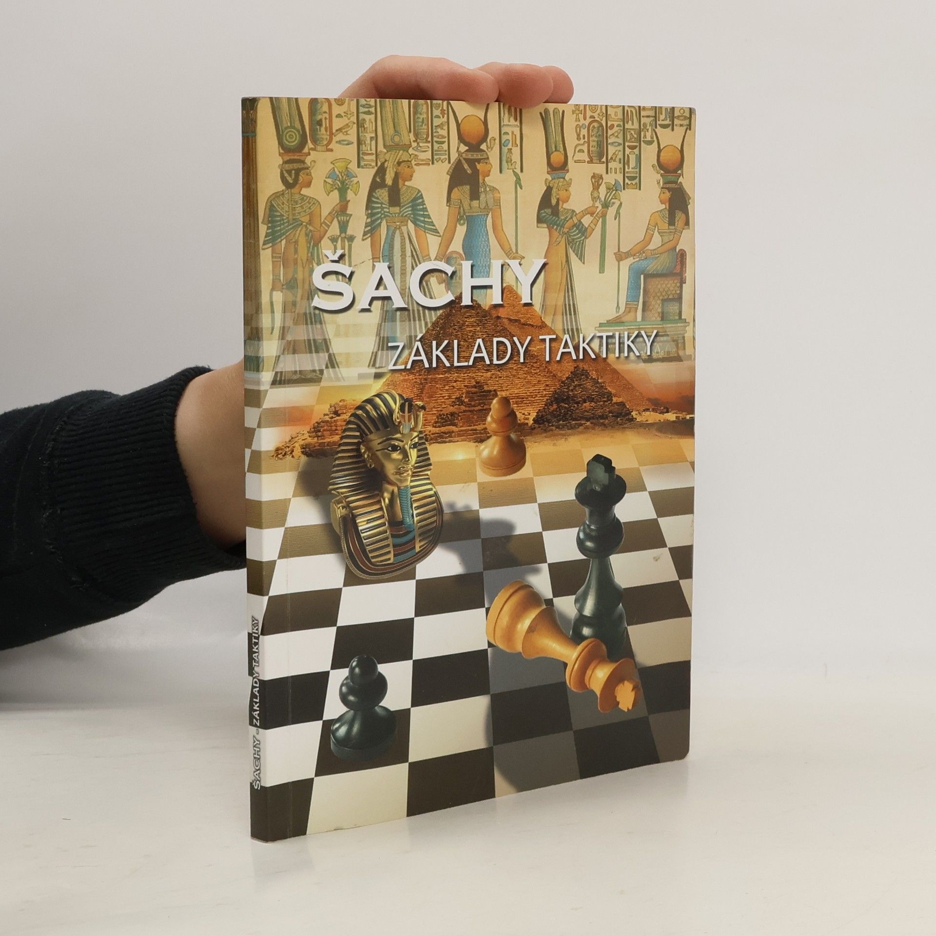 Richard Biolek Šachy - Základy taktiky