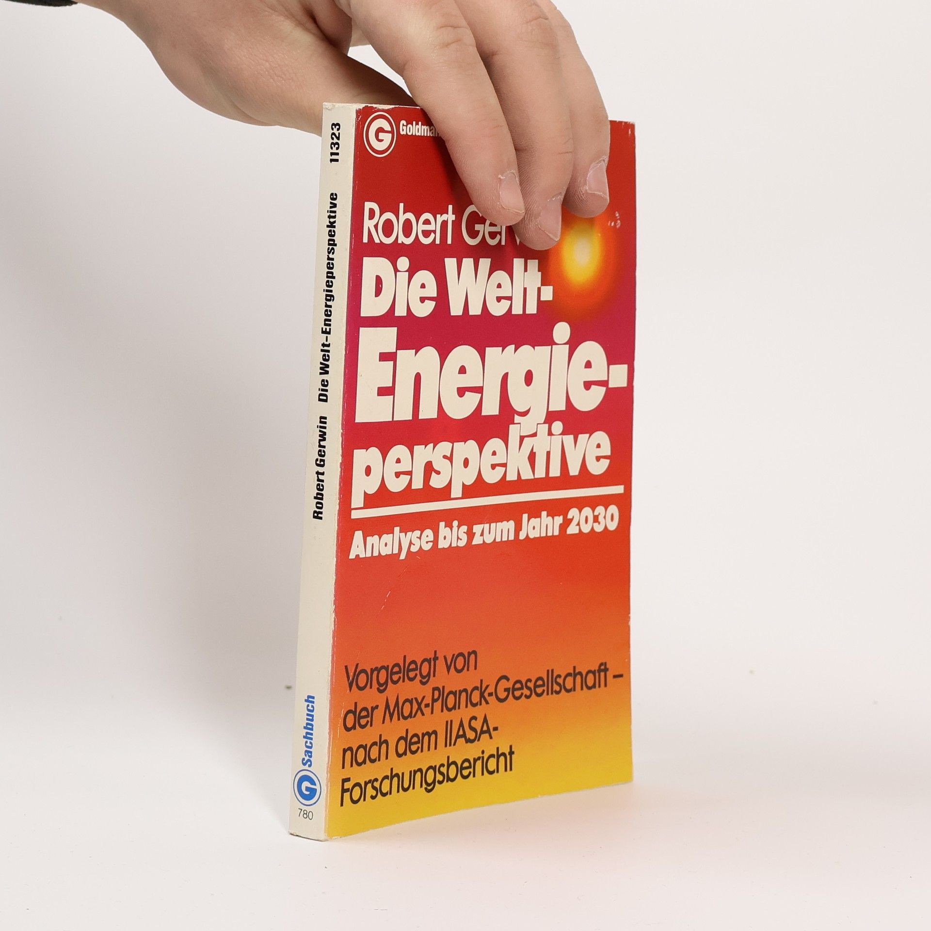 Robert Gerwin Die Weltenergieperspektive