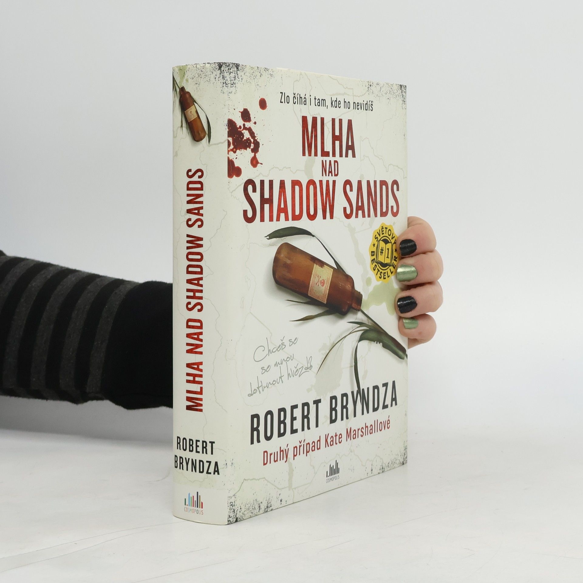 Robert Bryndza Mlha nad Shadow Sands