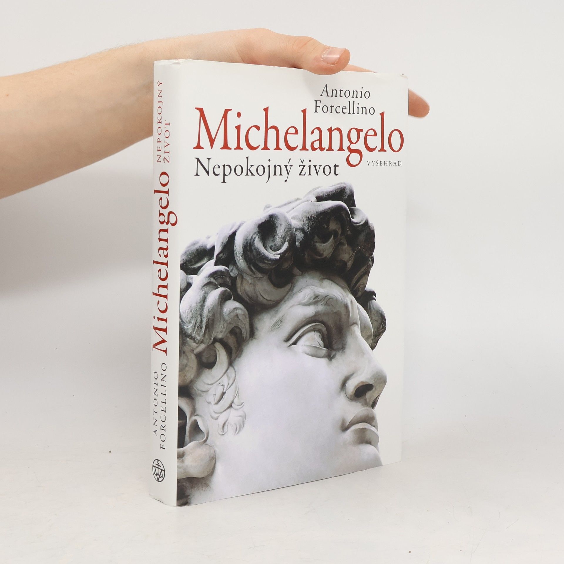 Michelangelo: Nepokojný život