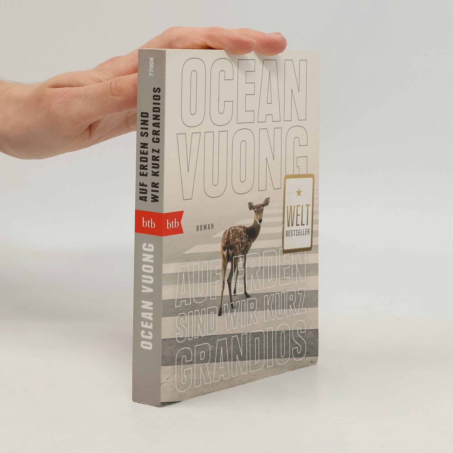 Ocean Vuong Auf Erden sind wir kurz grandios