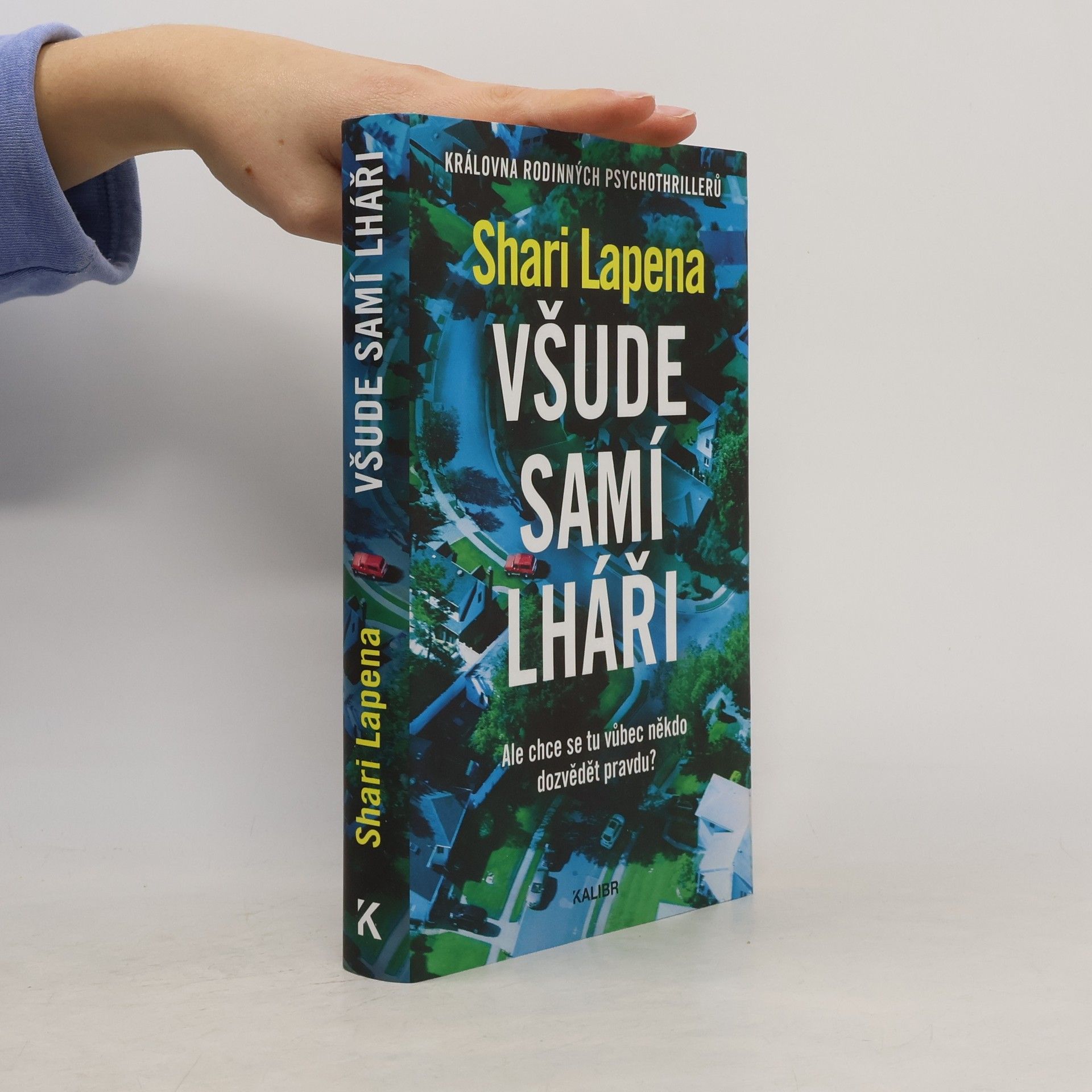 Shari Lapena Všude samí lháři