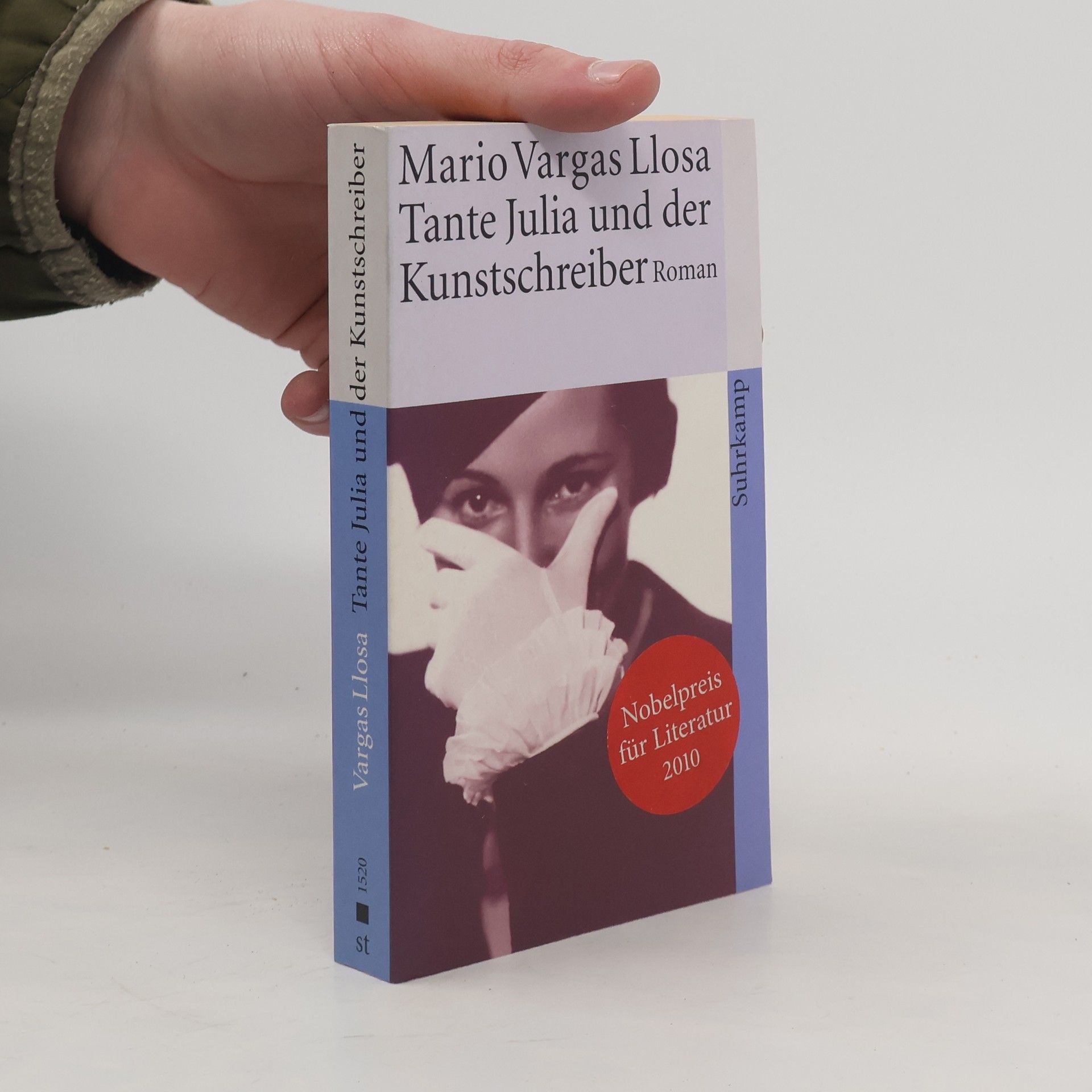 Mario Vargas Llosa Tante Julia und der Kunstschreiber