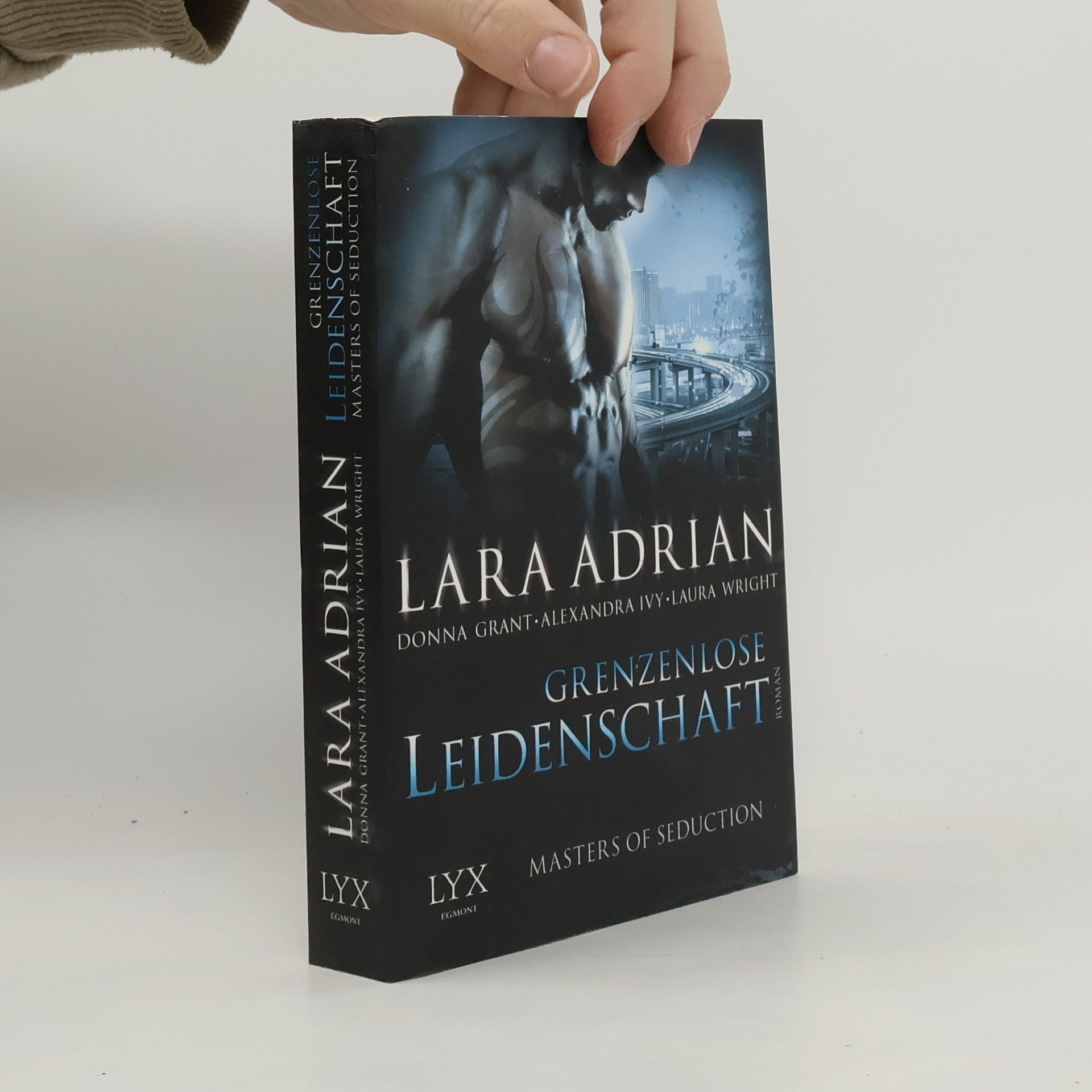 Alexandra Ivy Grenzenlose Leidenschaft