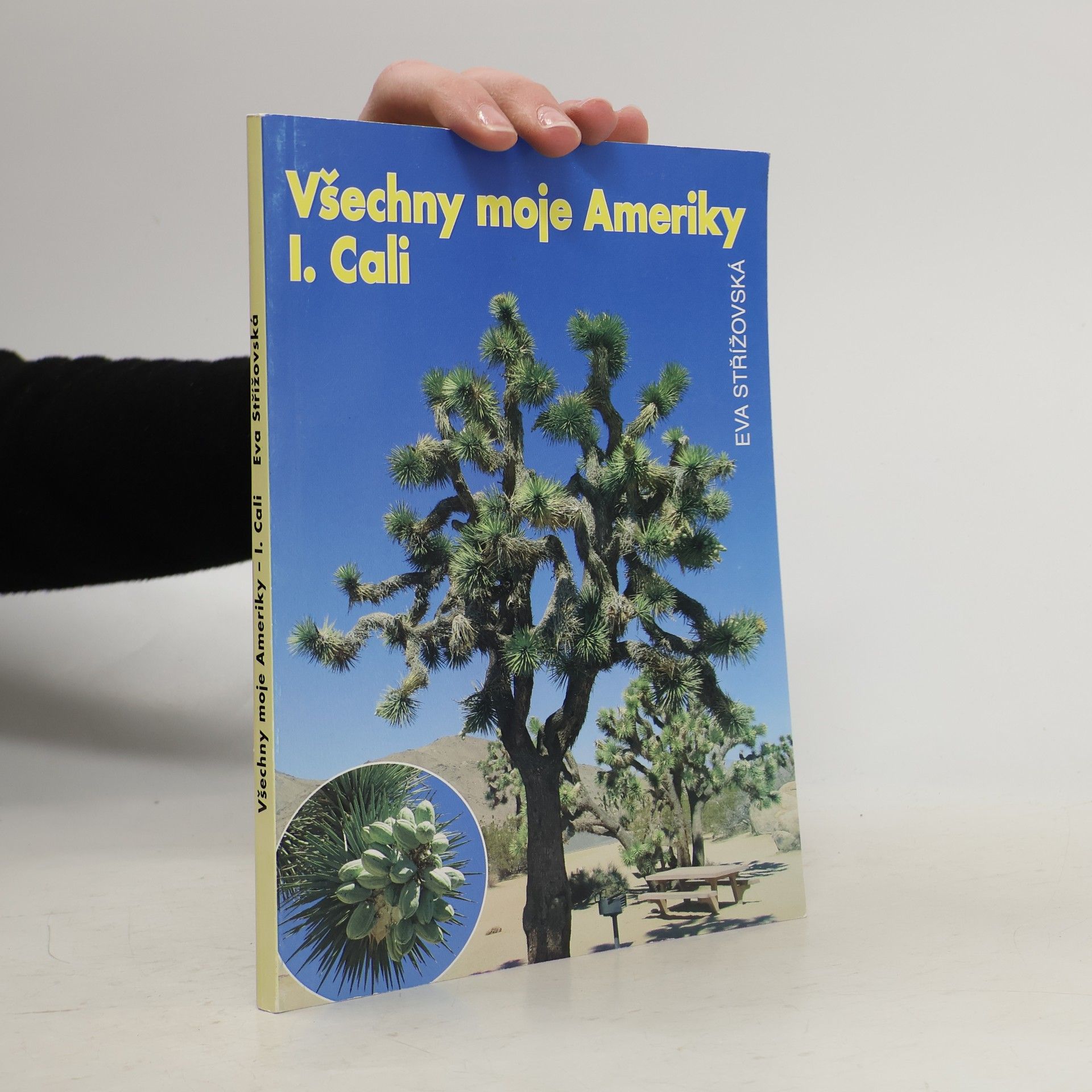 Všechny moje Ameriky. I., Cali