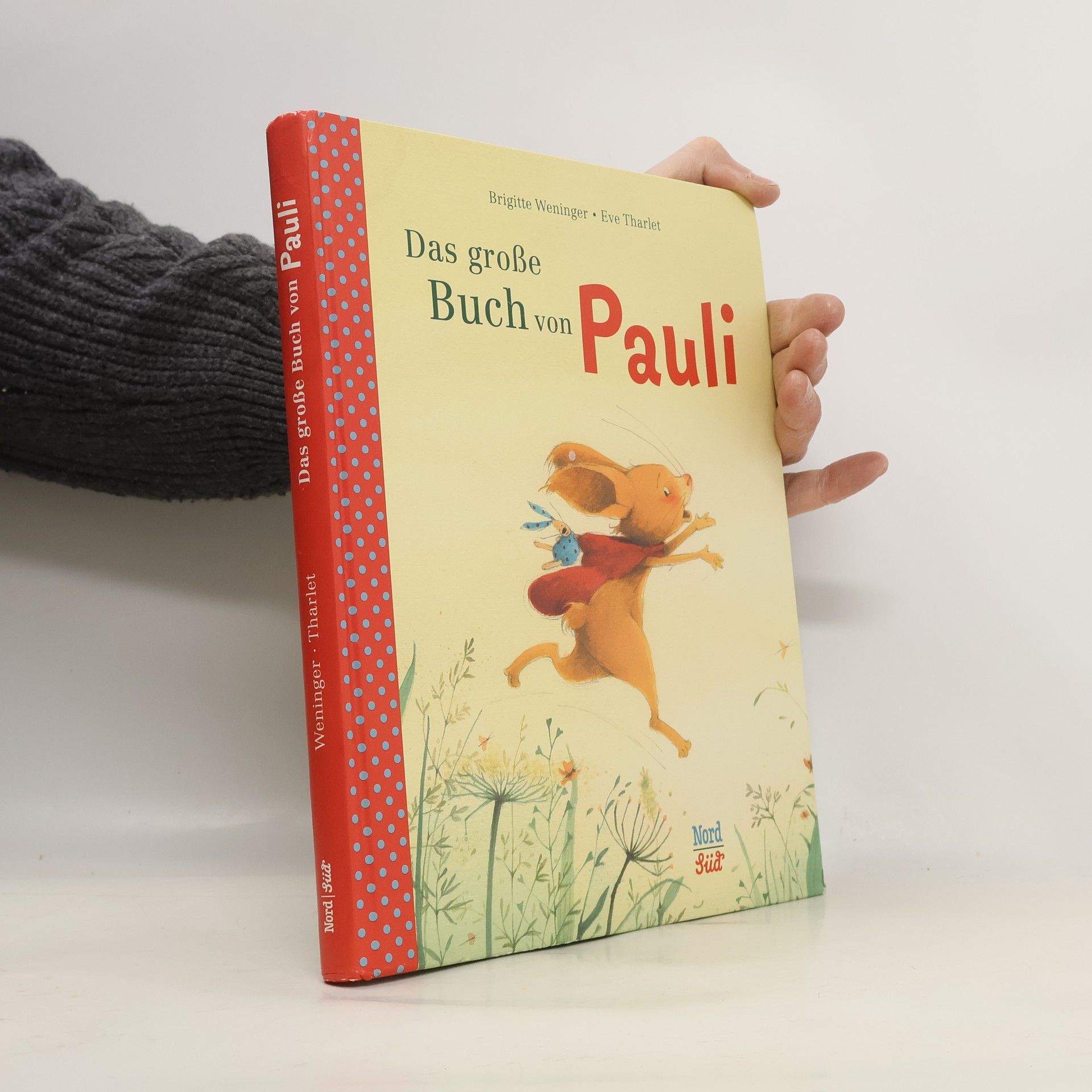 Das große Buch von Pauli