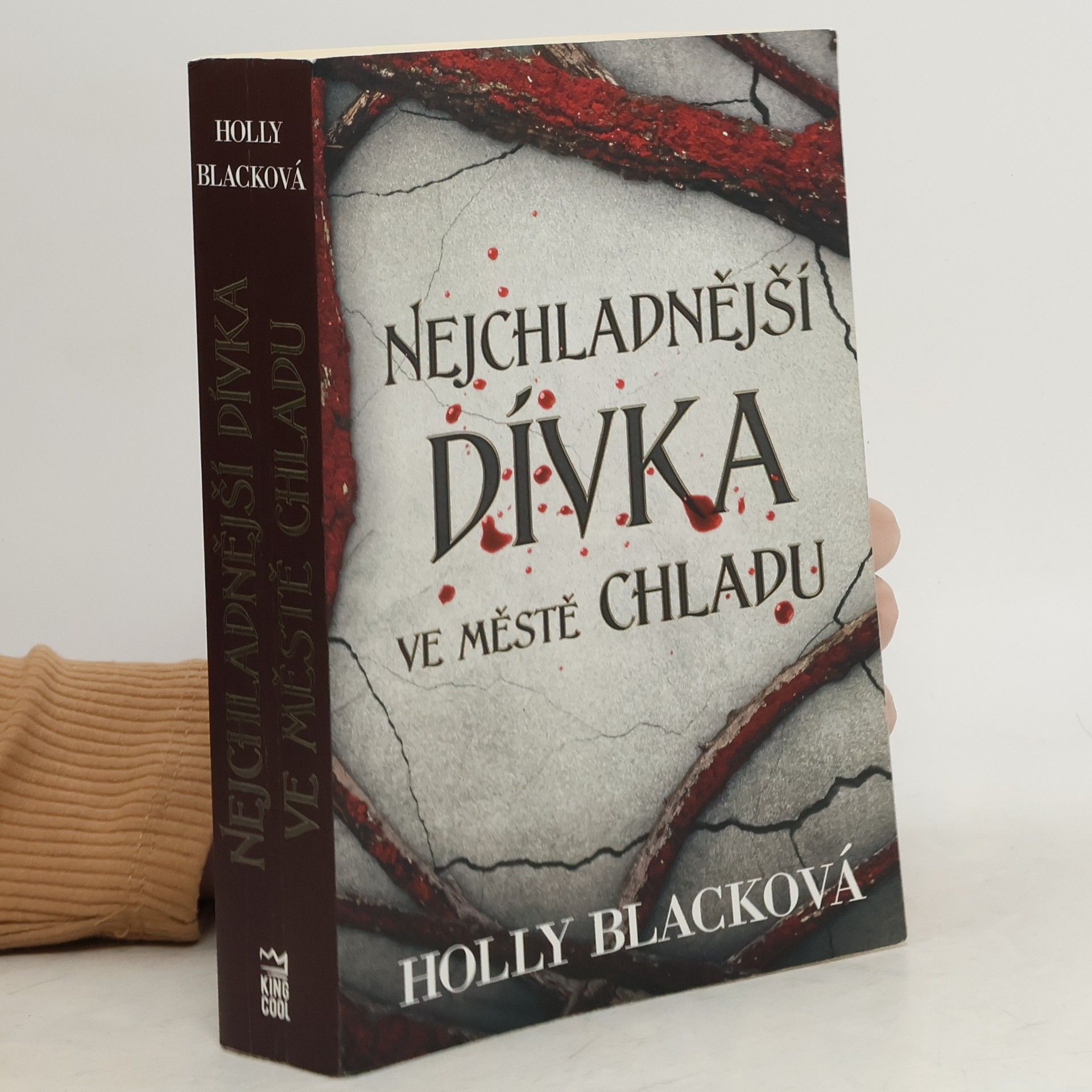 Holly Black Nejchladnější dívka ve městě chladu