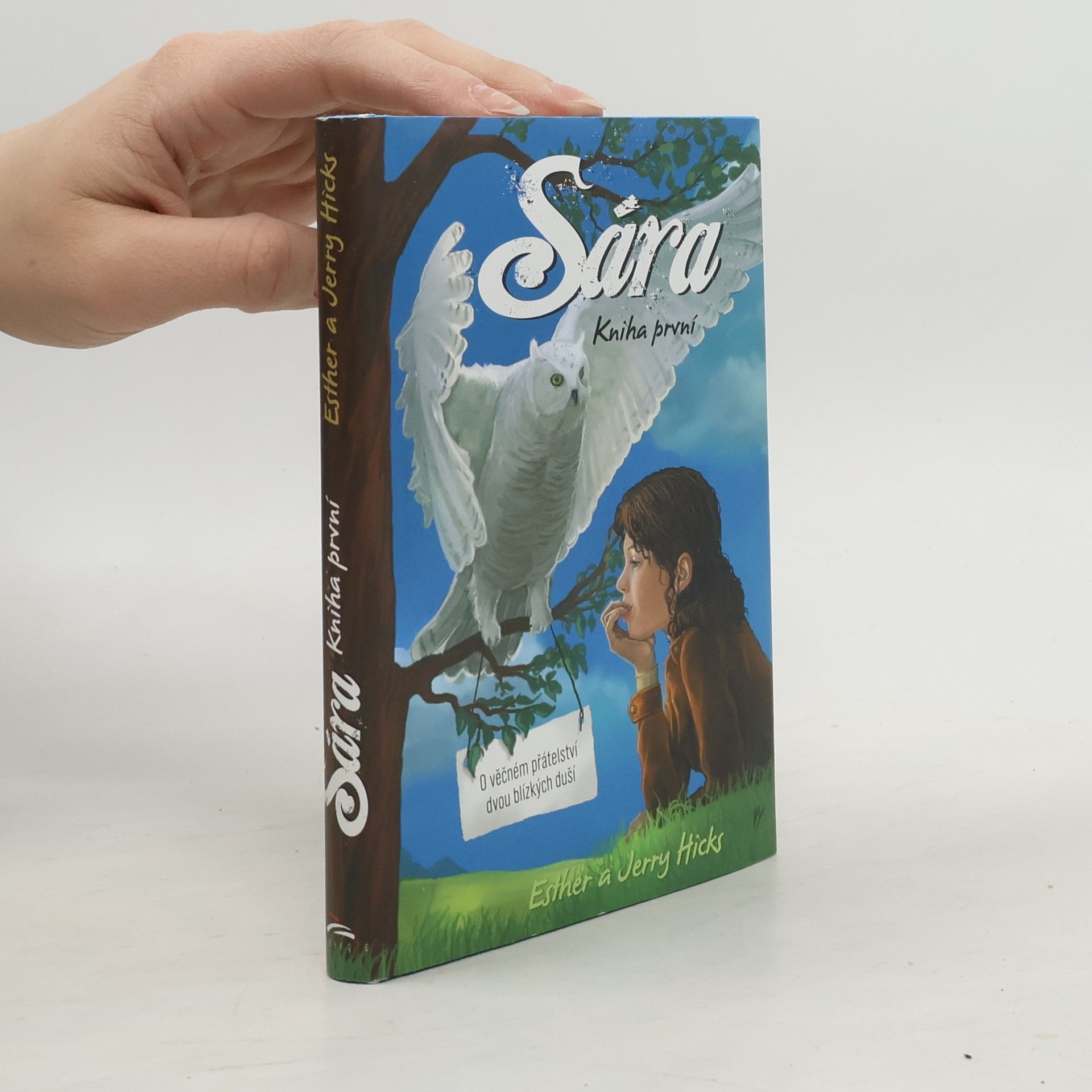 Esther Hicks Sára. Kniha první, O věčném přátelství dvou blízkých duší