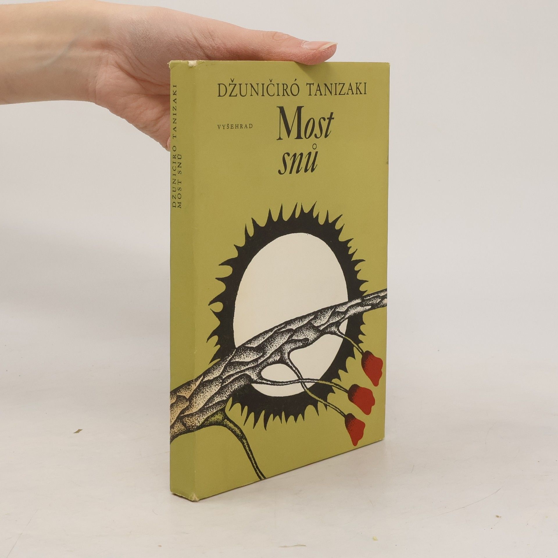 Jun'ichirō Tanizaki Most snů