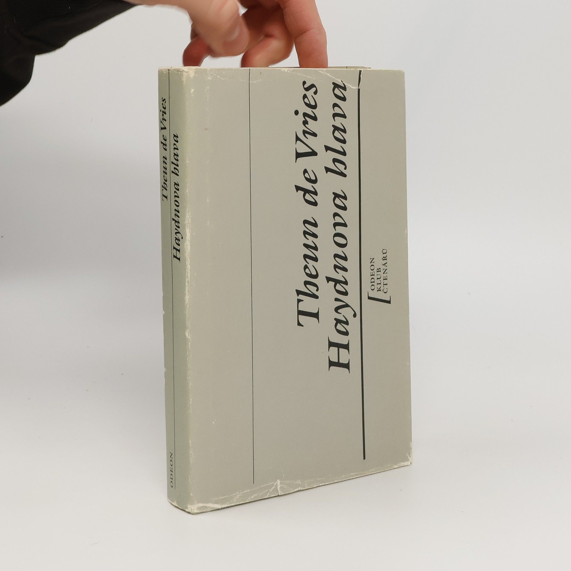 Theun de Vries Haydnova hlava