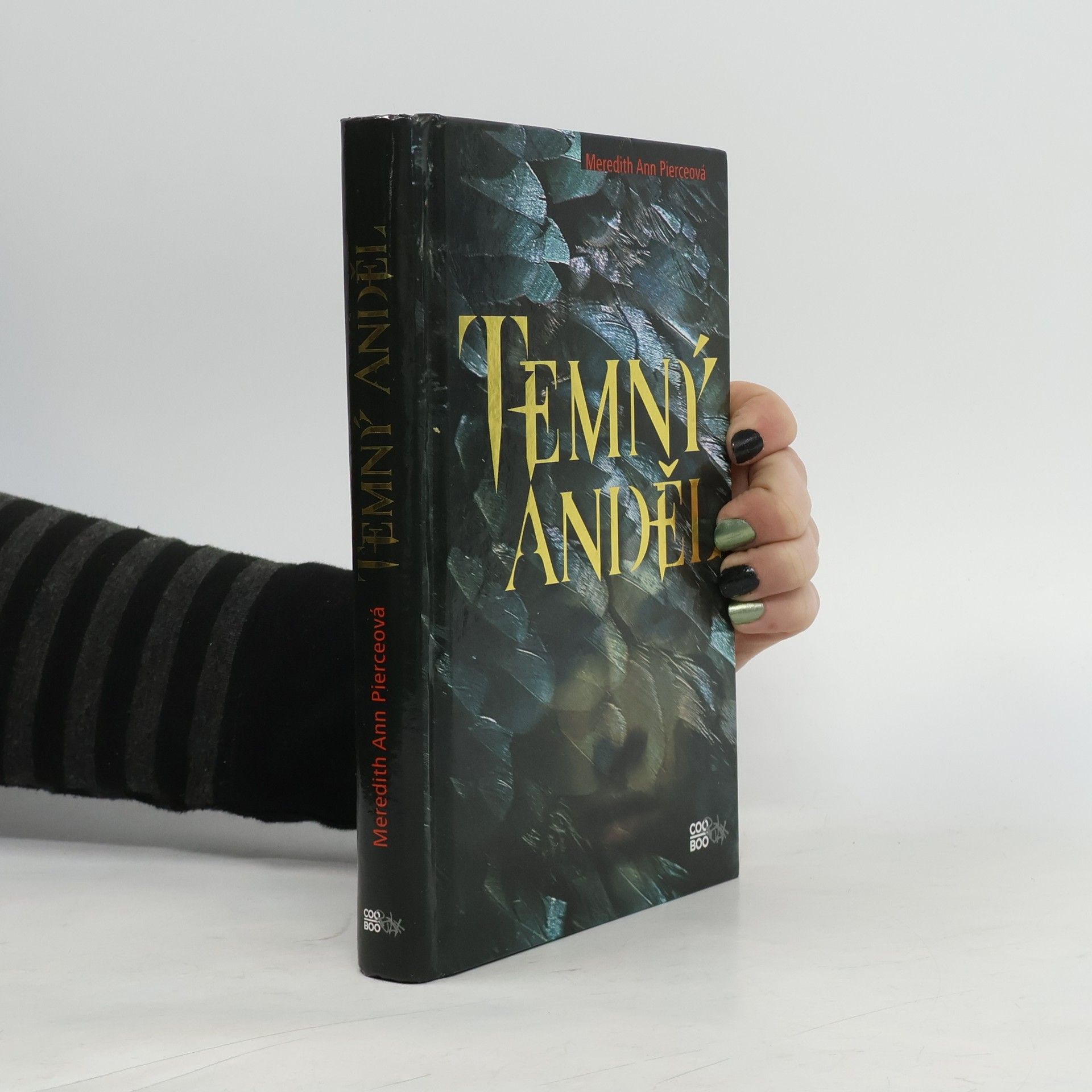 Meredith Ann Pierce Temný anděl