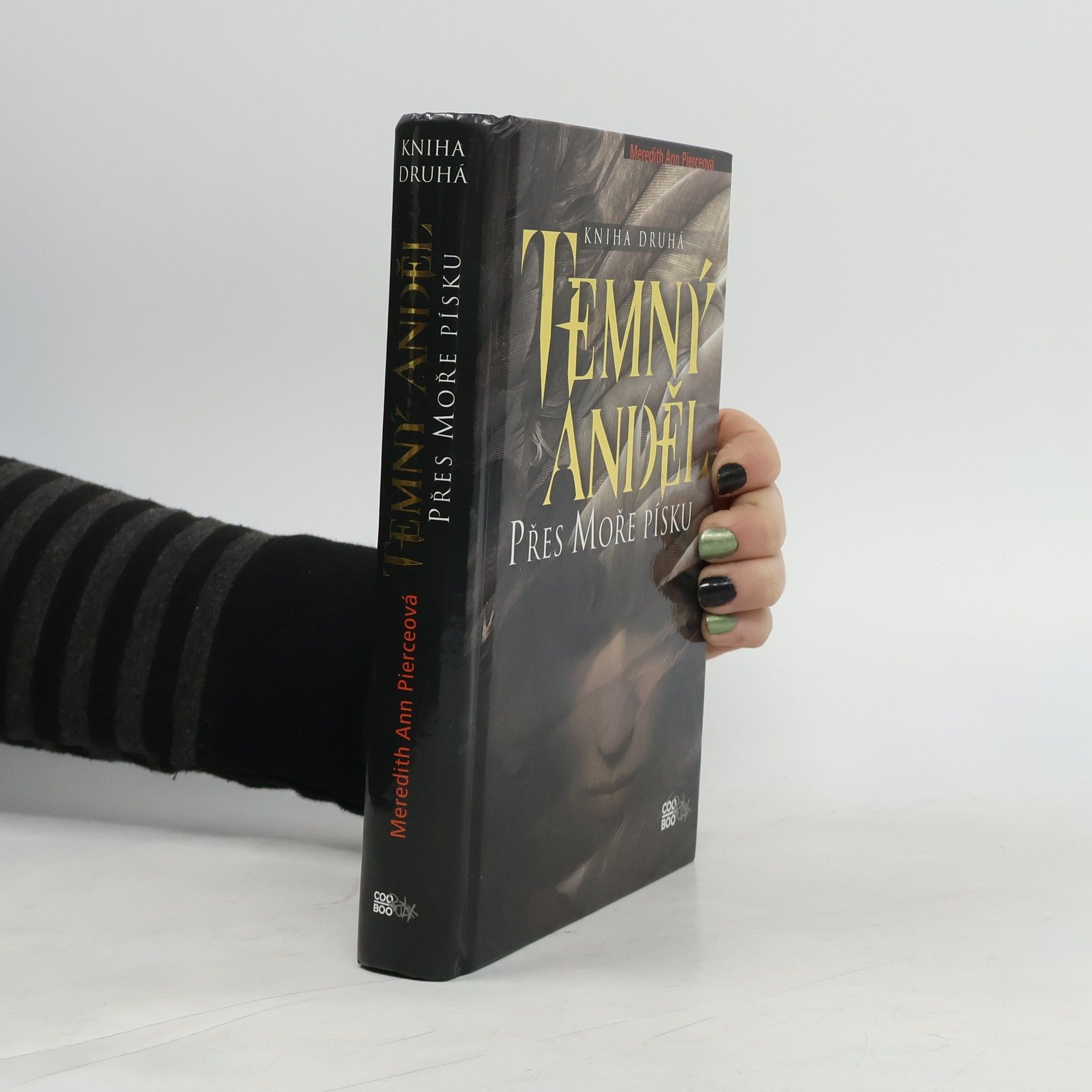 Temný anděl. Přes moře písku