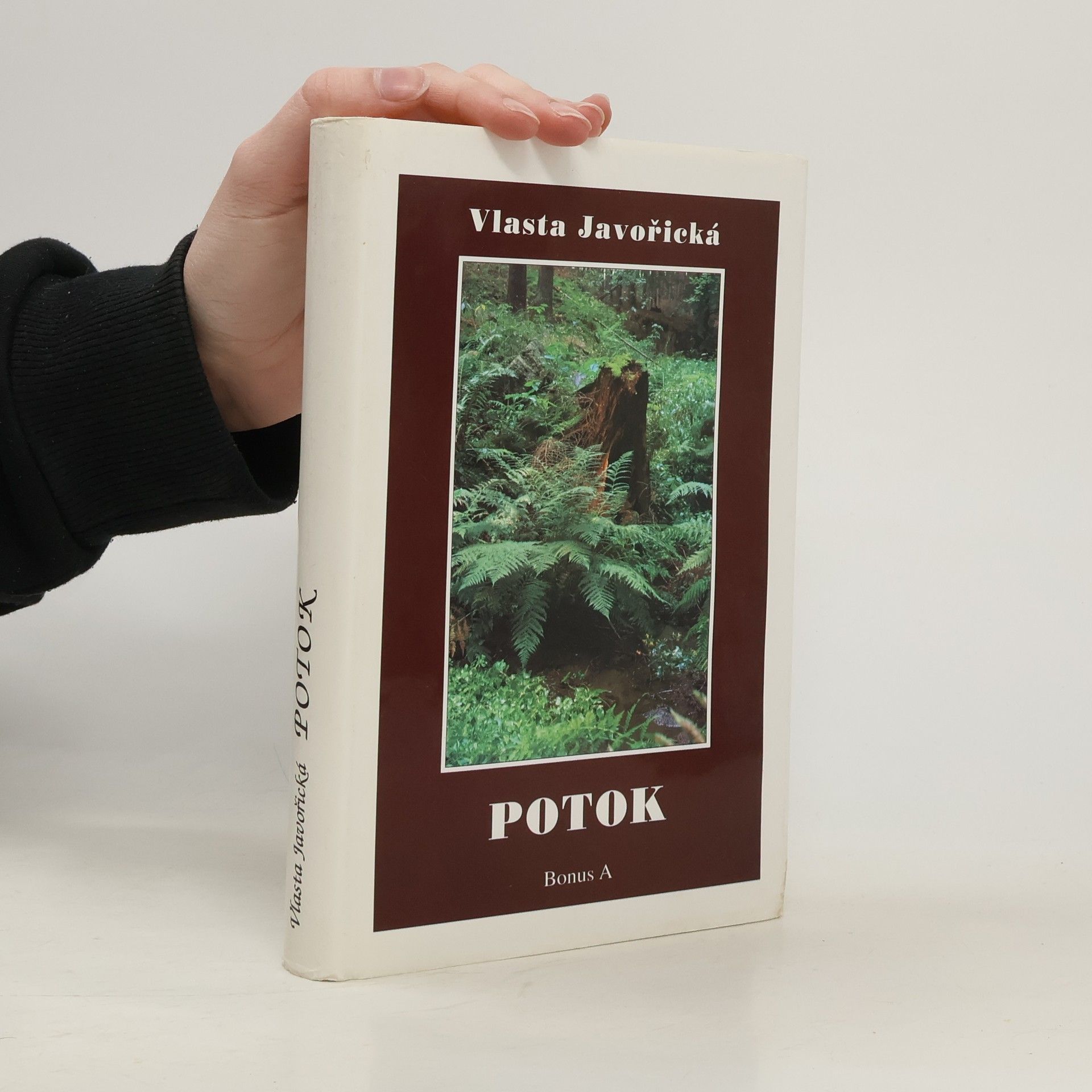 Vlasta Javořická Potok