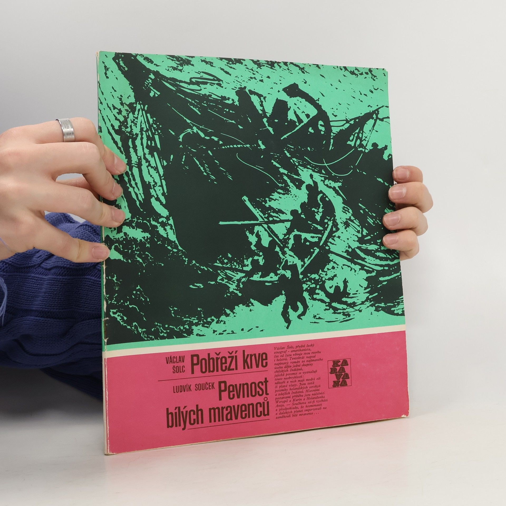 Václav Šolc Pobřeží krve. Pevnost bílých mravenců