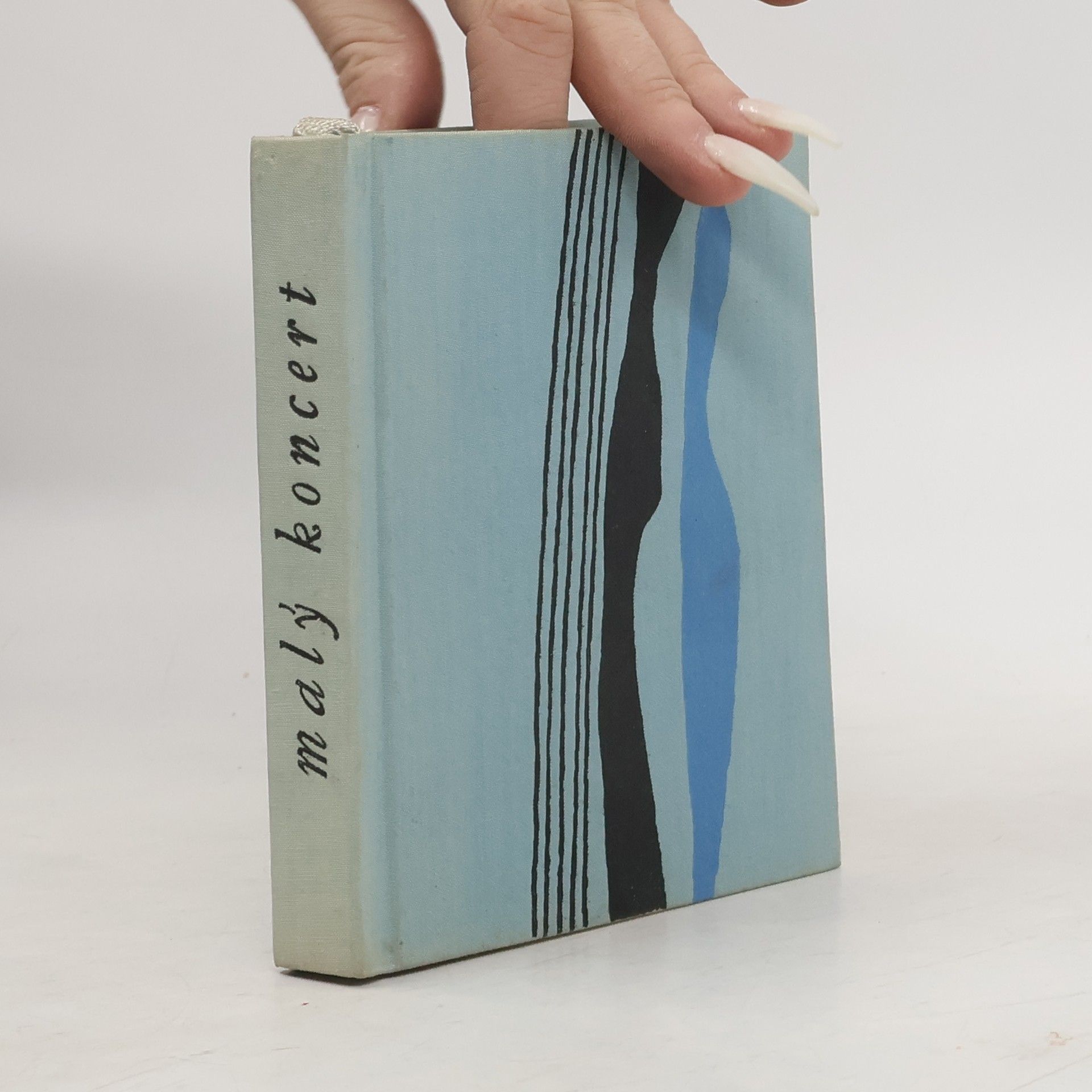 František Hrubín Malý koncert