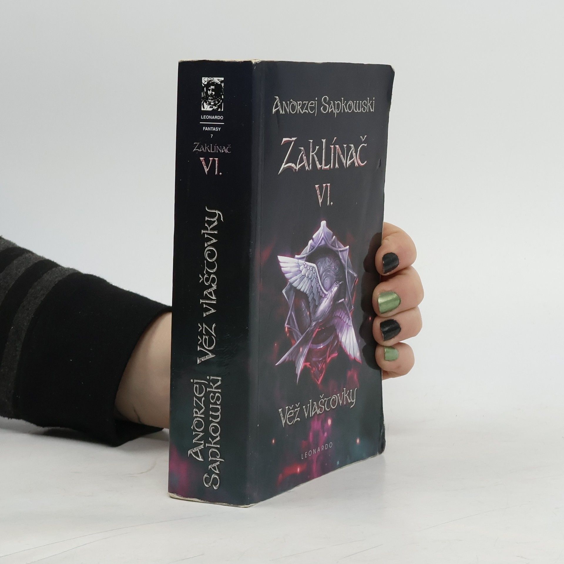 Andrzej Sapkowski Zaklínač VI. Věž vlaštovky