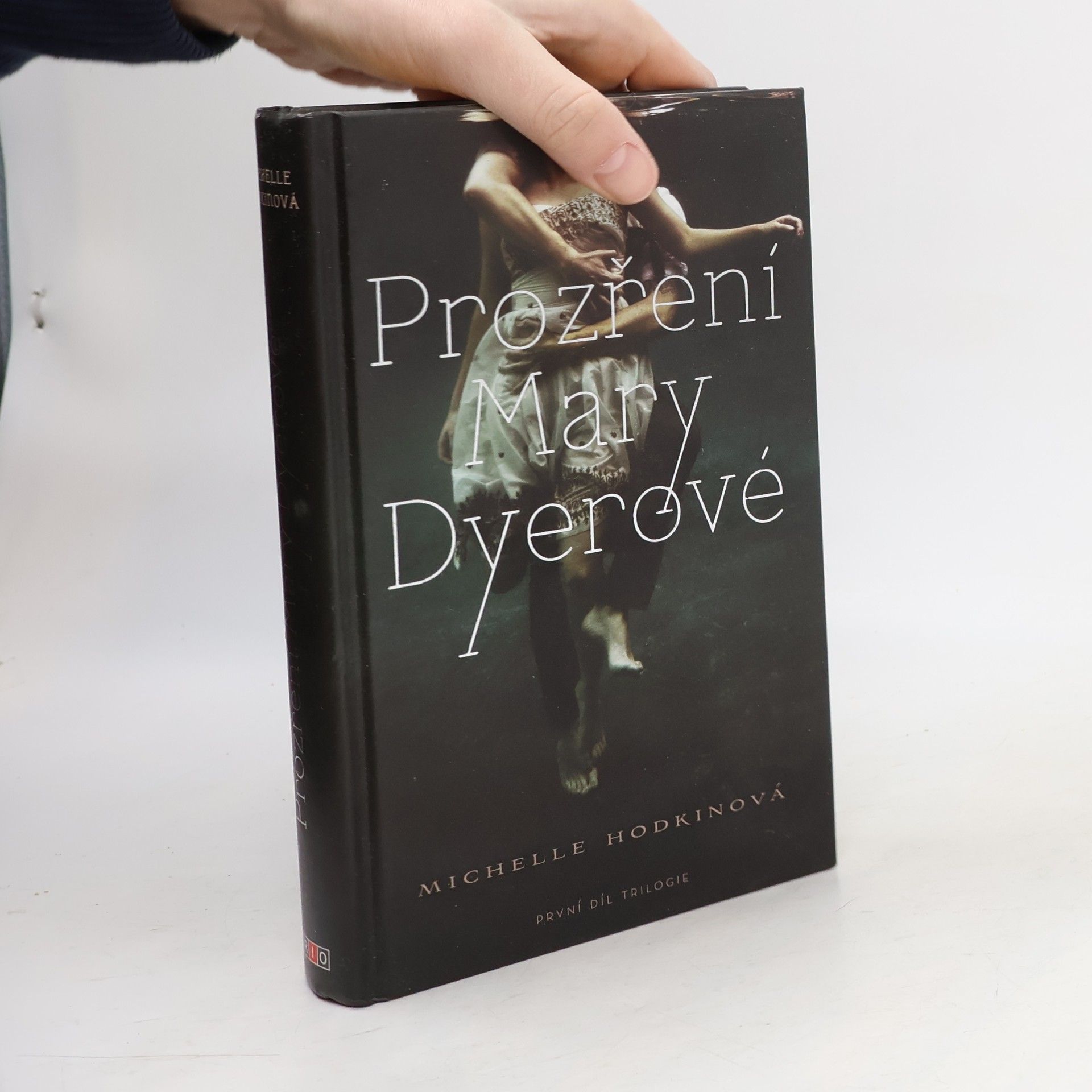 Michelle Hodkin Prozření Mary Dyerové