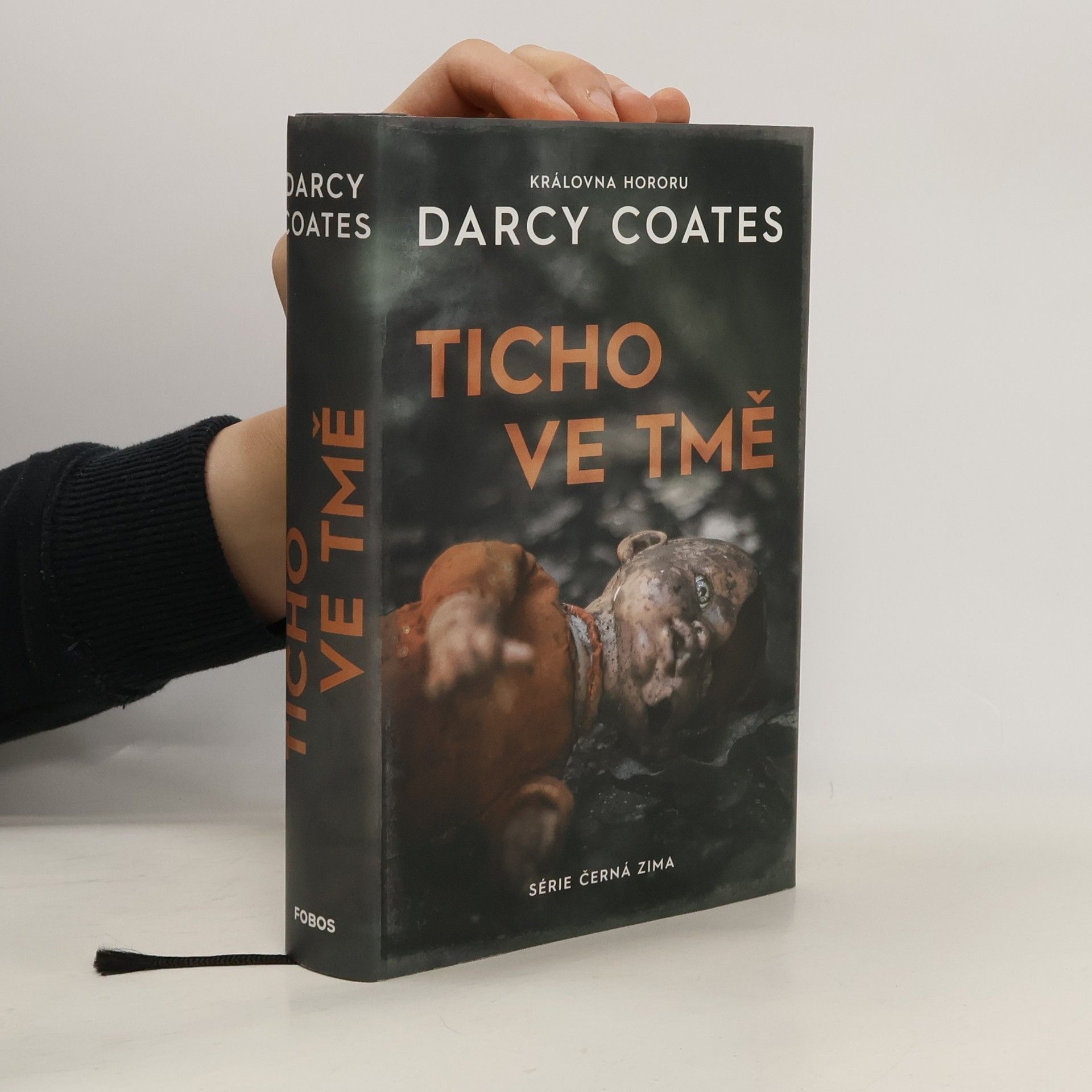 Darcy Coates Ticho ve tmě
