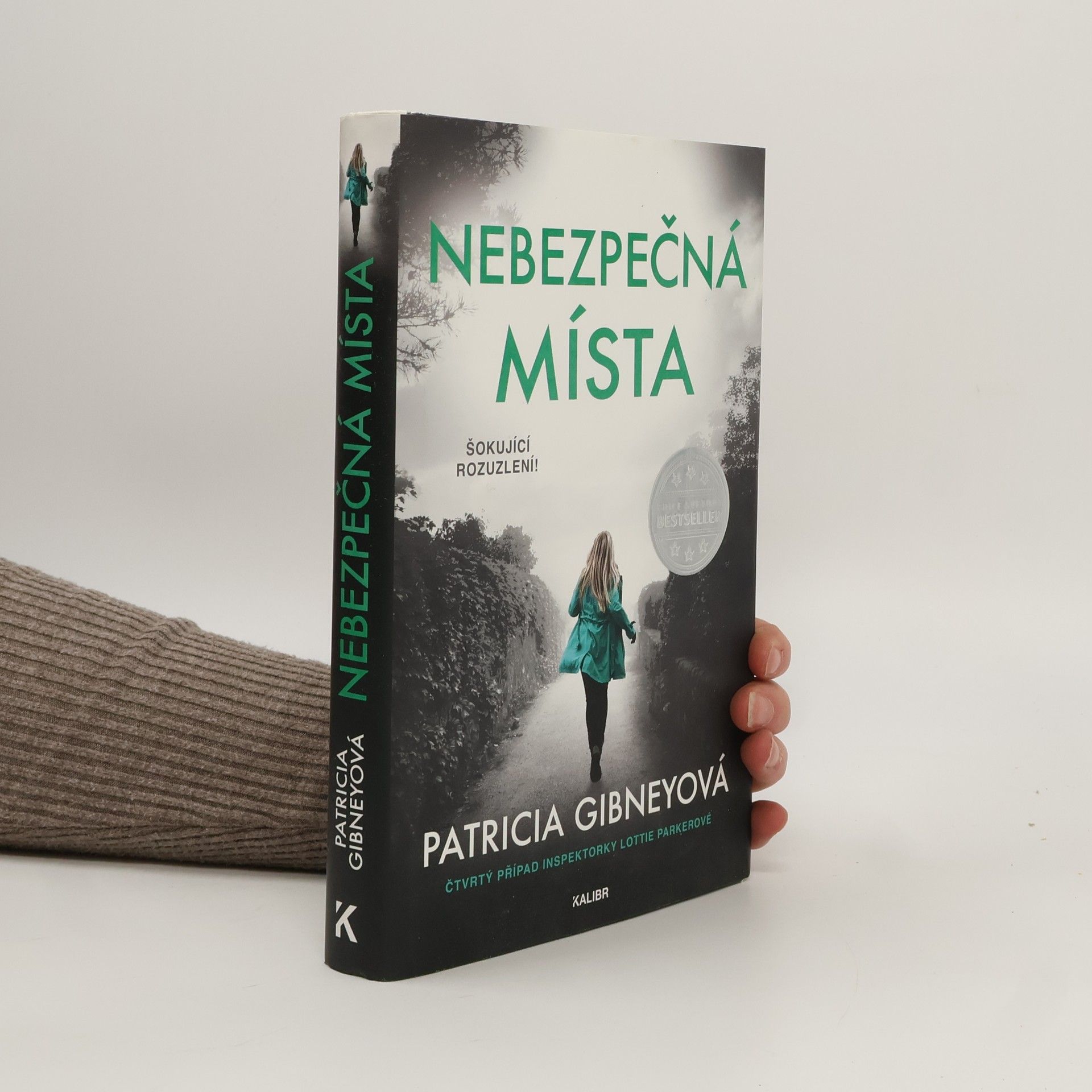 Patricia Gibney Nebezpečná místa
