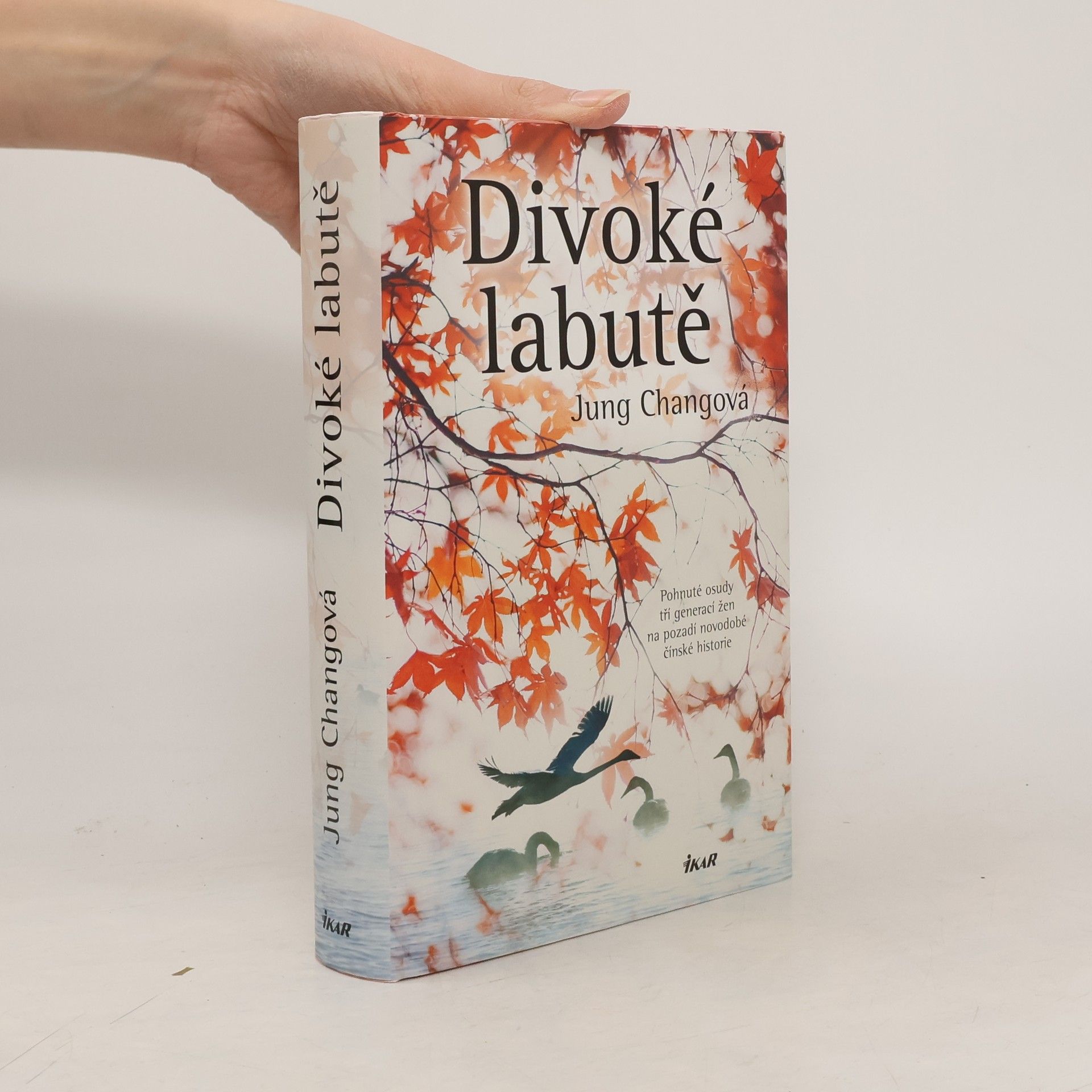 Yong Chang Divoké labutě