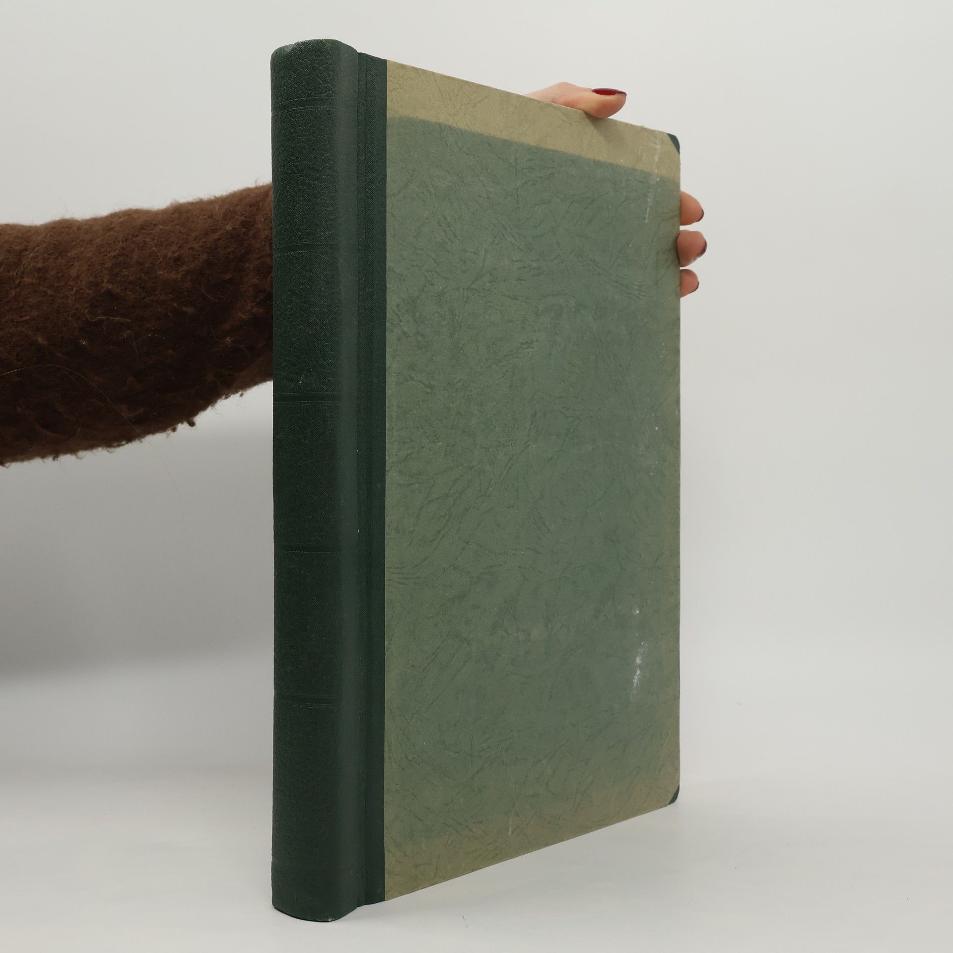 Autorenkollektiv Die Militärmusik in der Bundeswehr