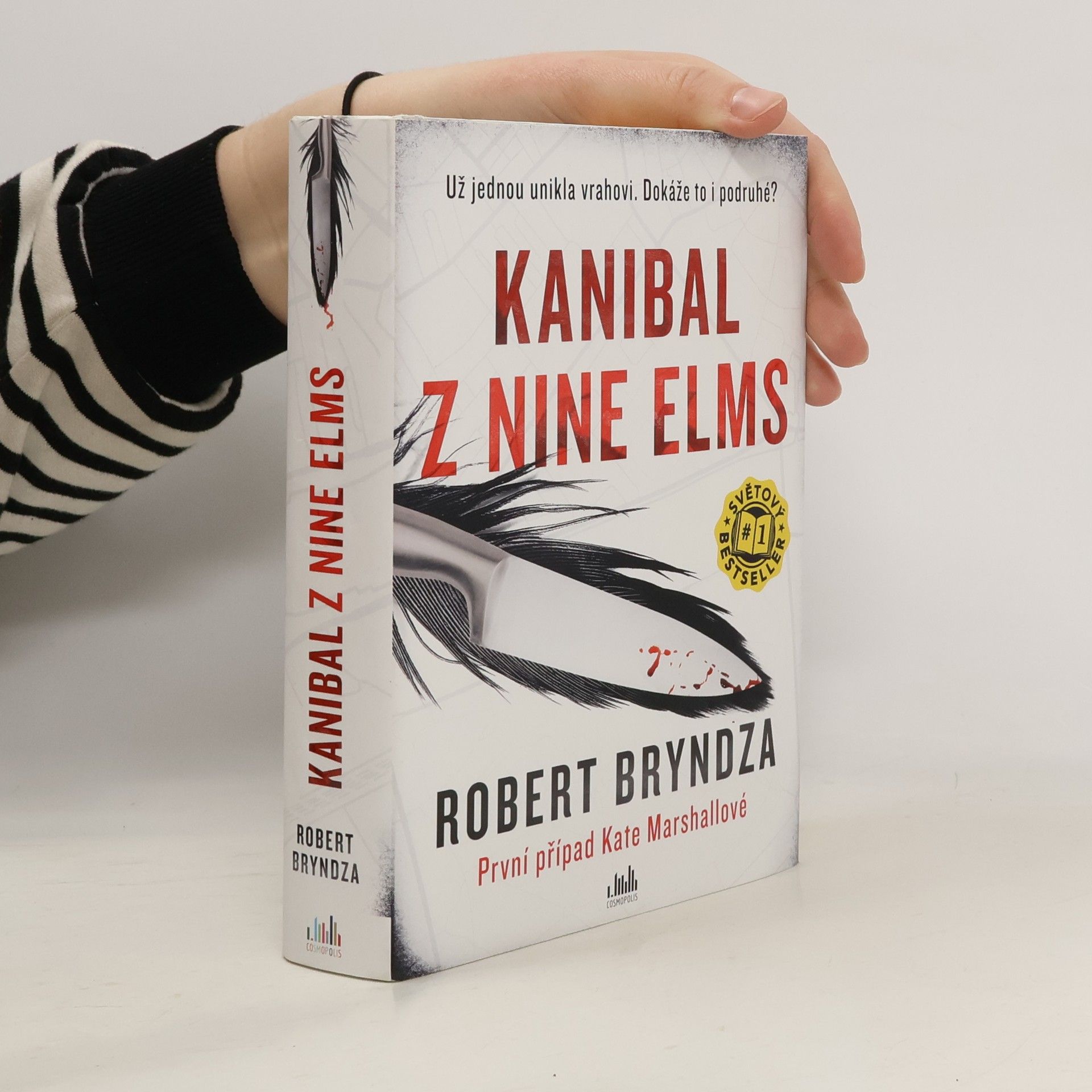 Robert Bryndza Kanibal z Nine Elms