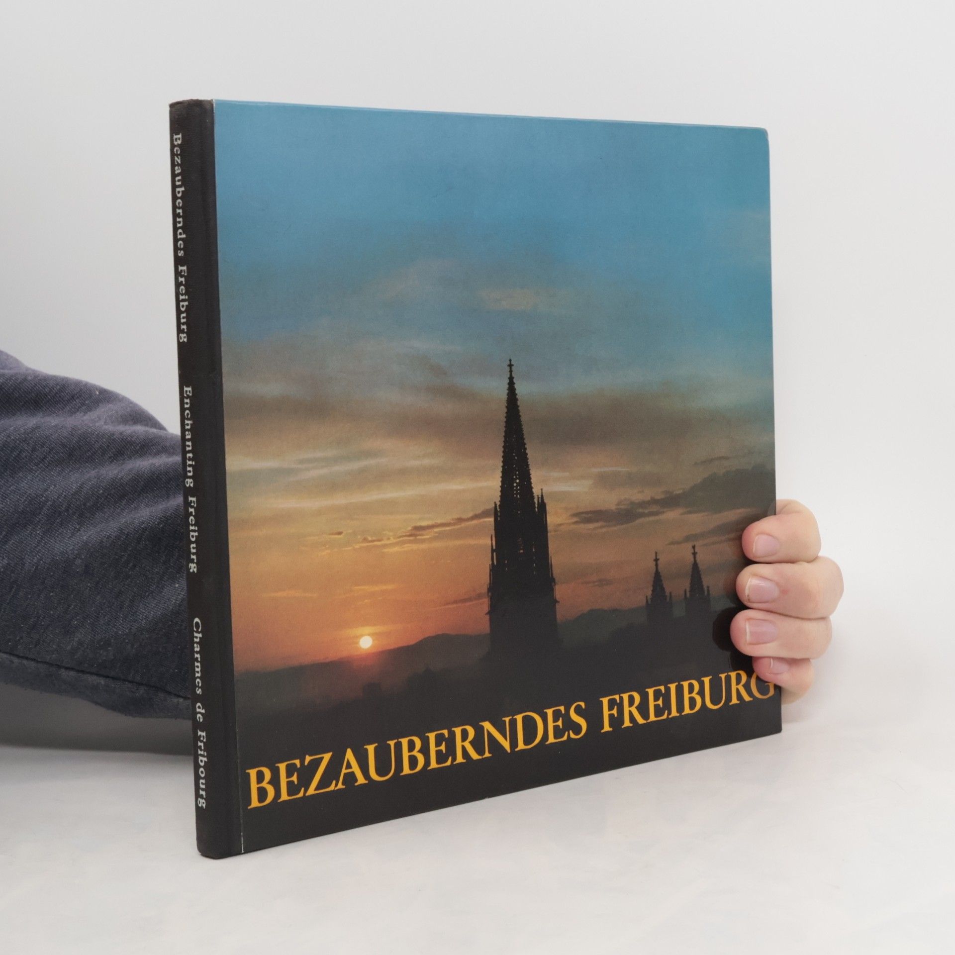 Autorenkollektiv Bezauberndes Freiburg