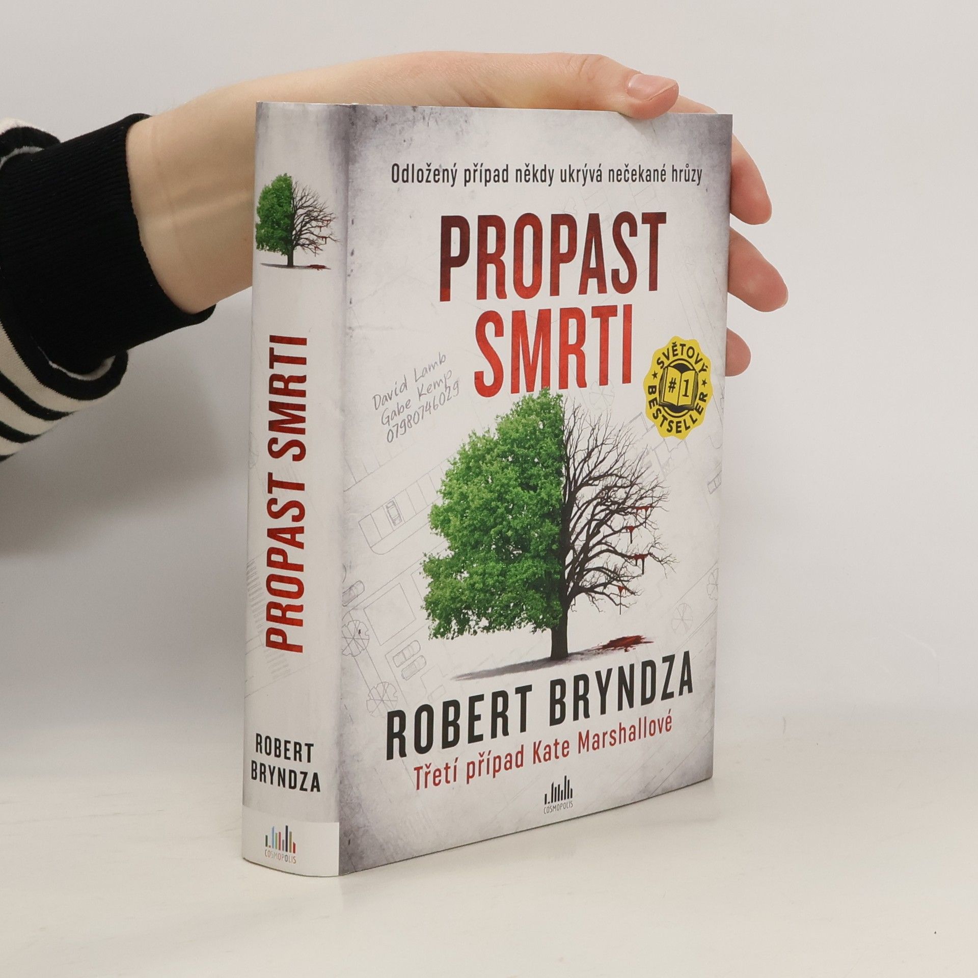 Robert Bryndza Propast smrti