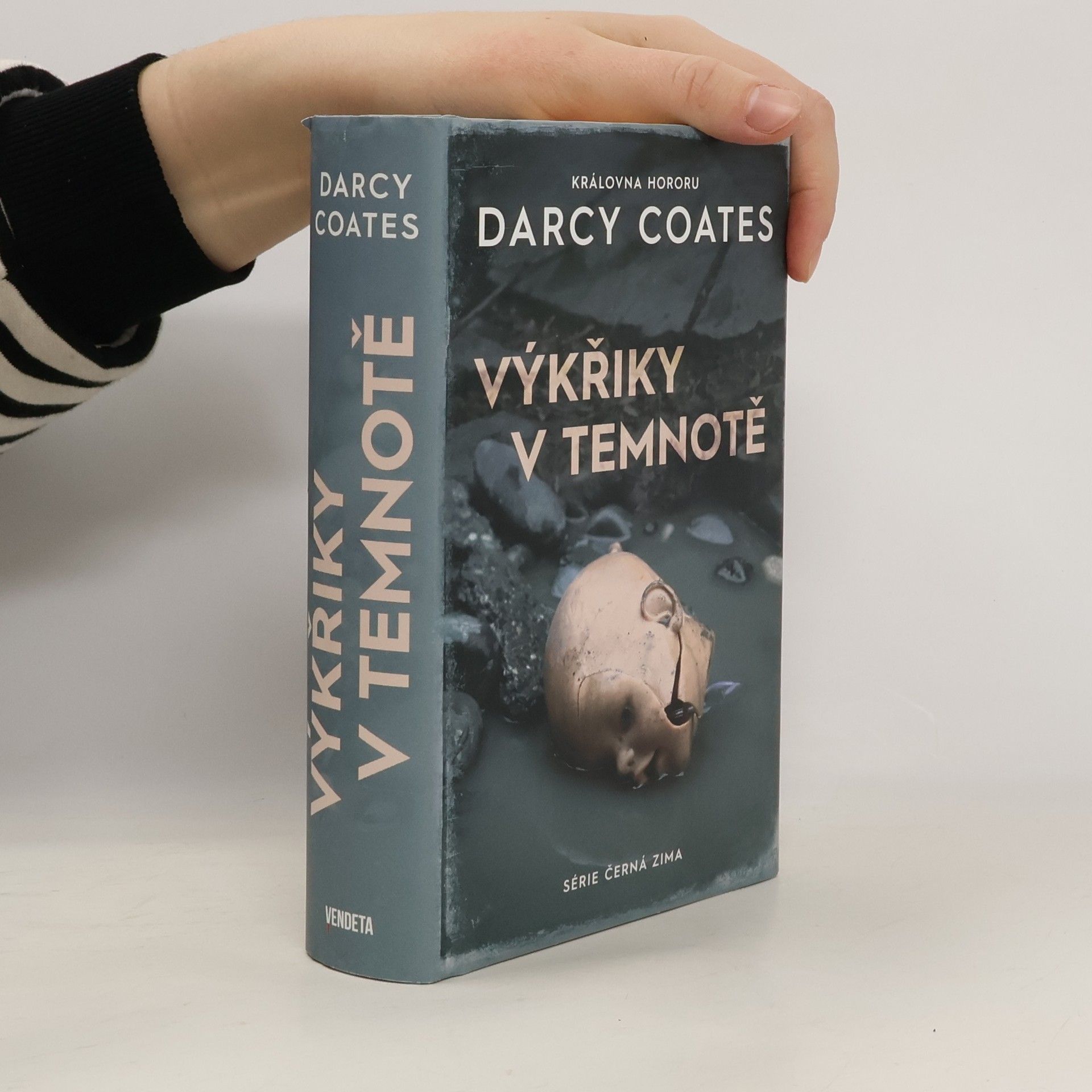 Darcy Coates Výkřiky v temnotě