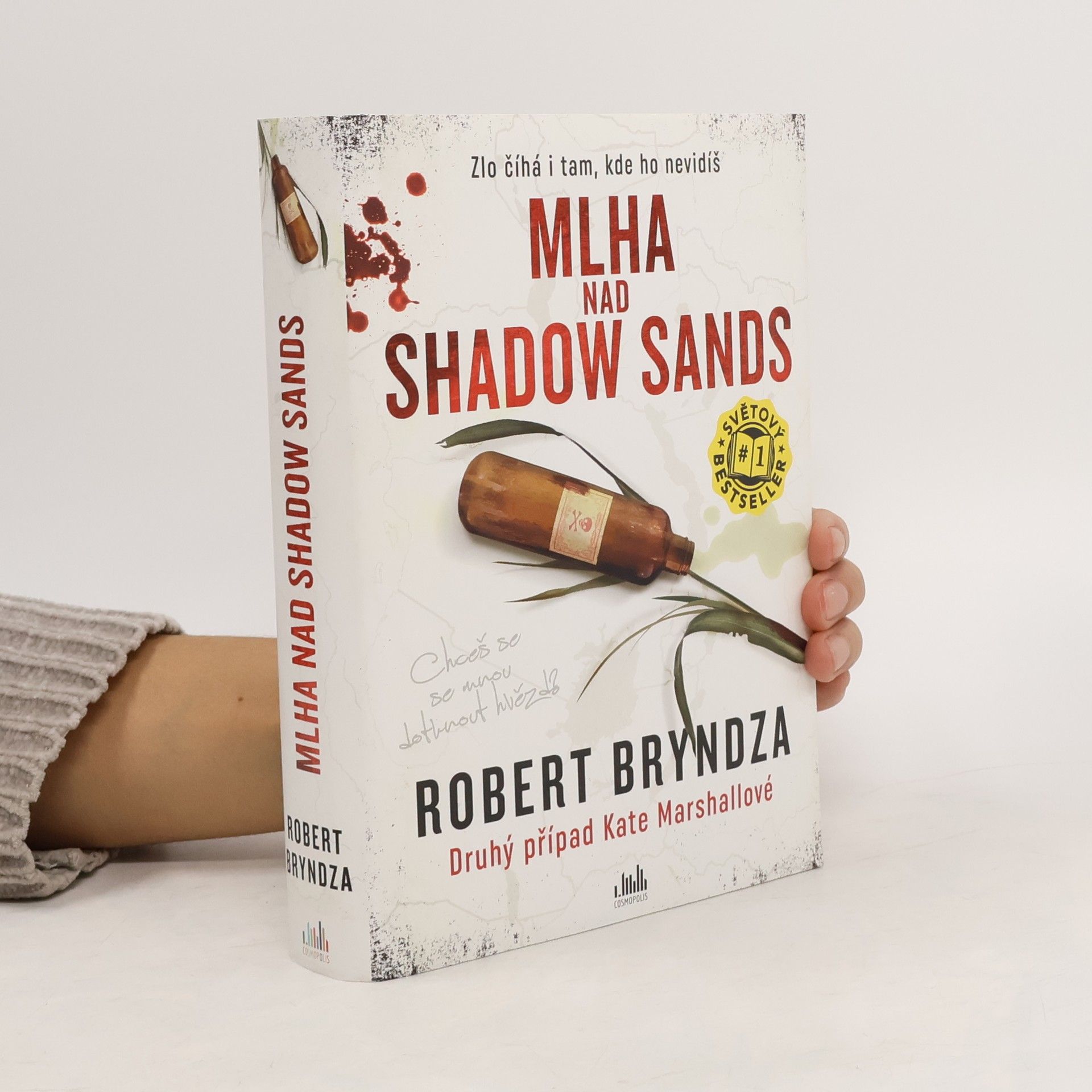 Robert Bryndza Mlha nad Shadow Sands