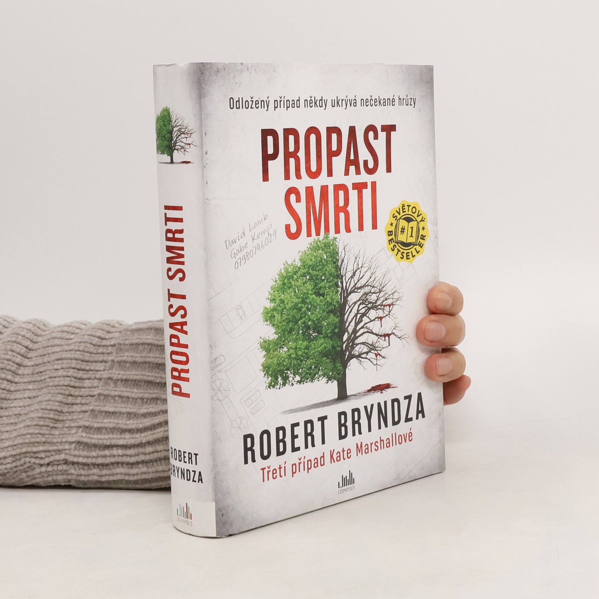 Robert Bryndza Propast smrti