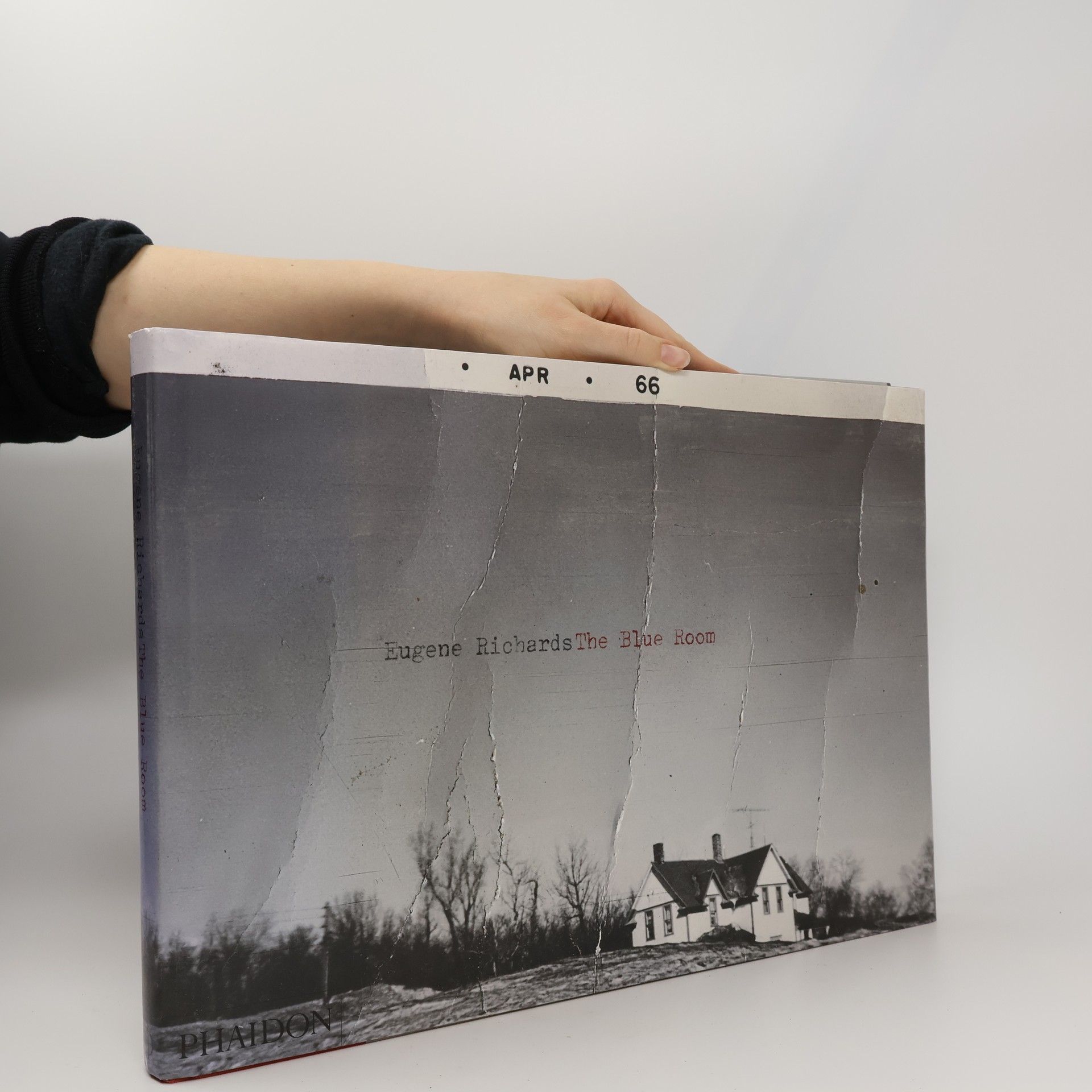 Eugene Richards The Blue Room