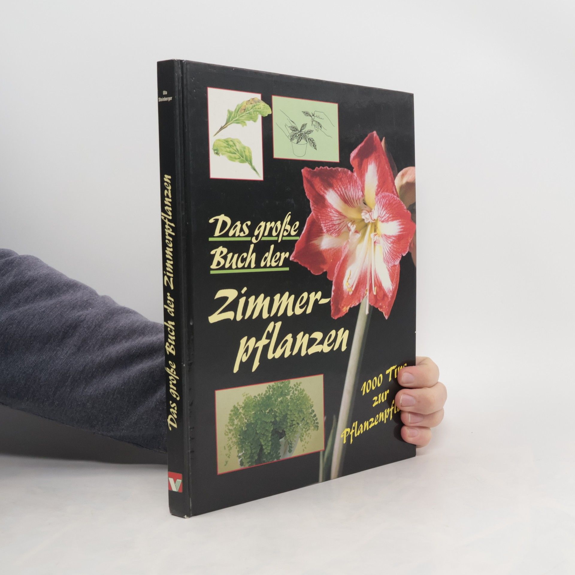 Uta Steinberger Das große Buch der Zimmerpflanzen