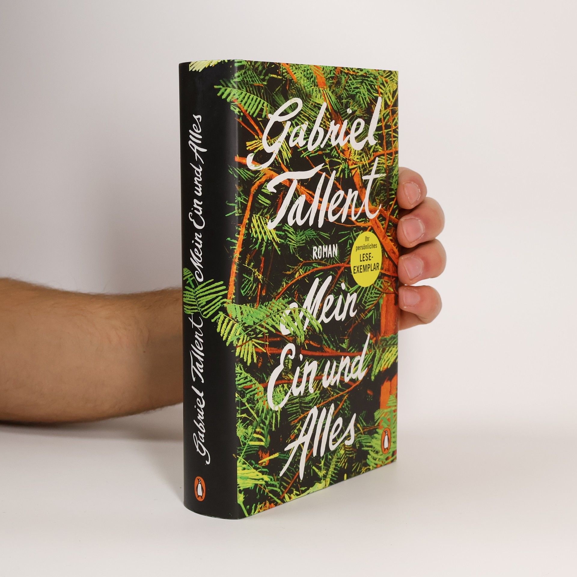 Gabriel Tallent Mein Ein und Alles