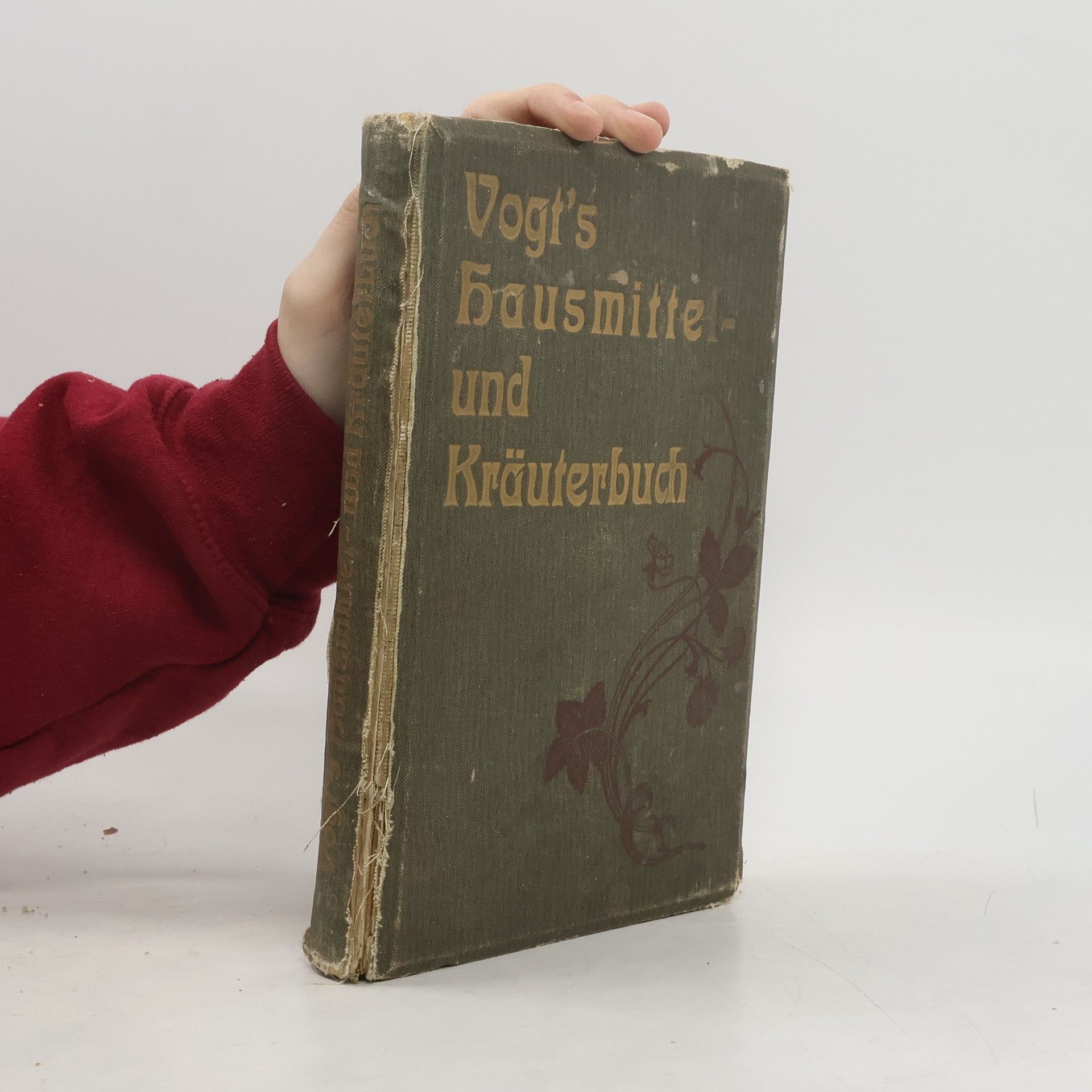 Collectif d'auteurs Die arzneilose anticollämische radikalkultur