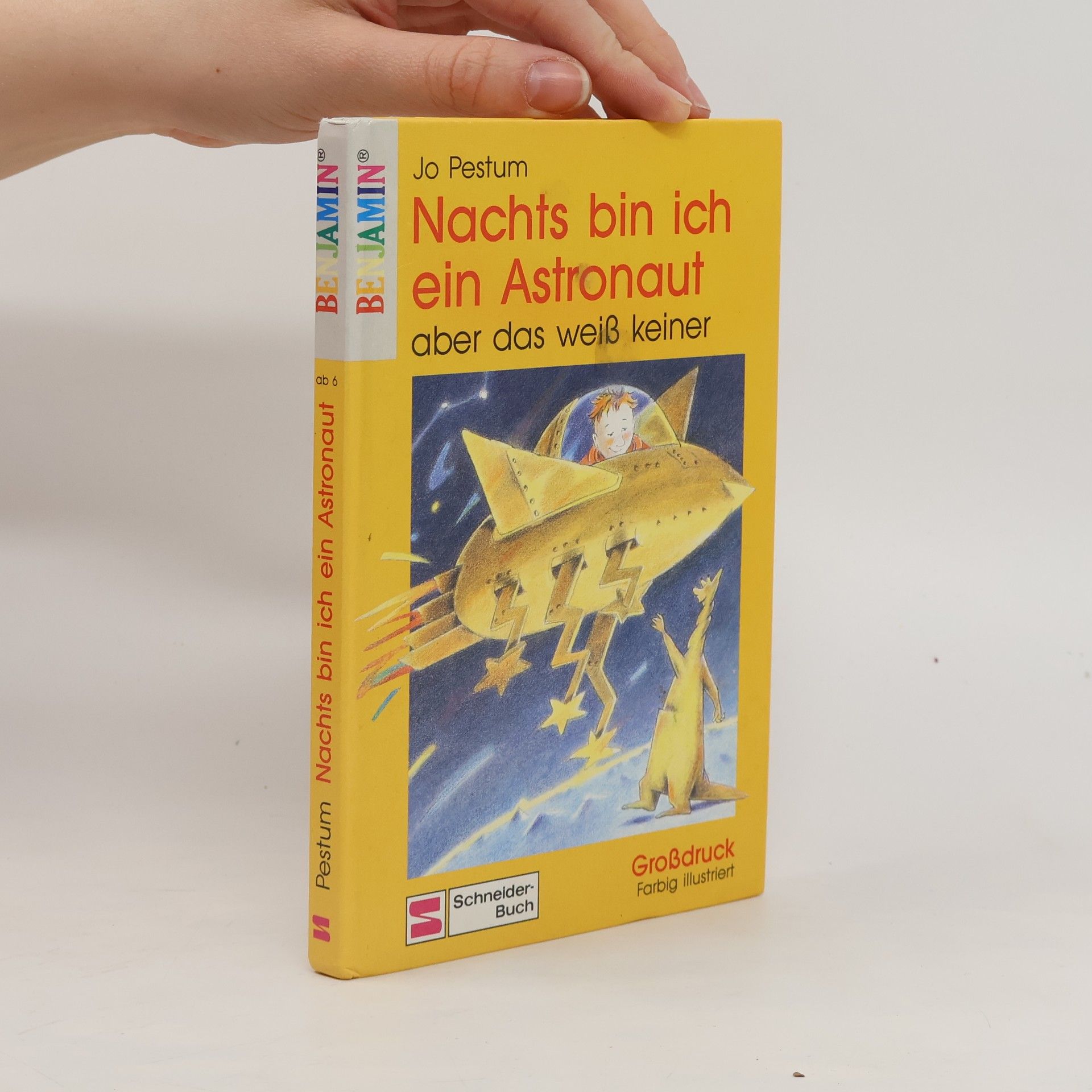 Jo Pestum Nachts bin ich ein Astronaut, aber das weiss keiner