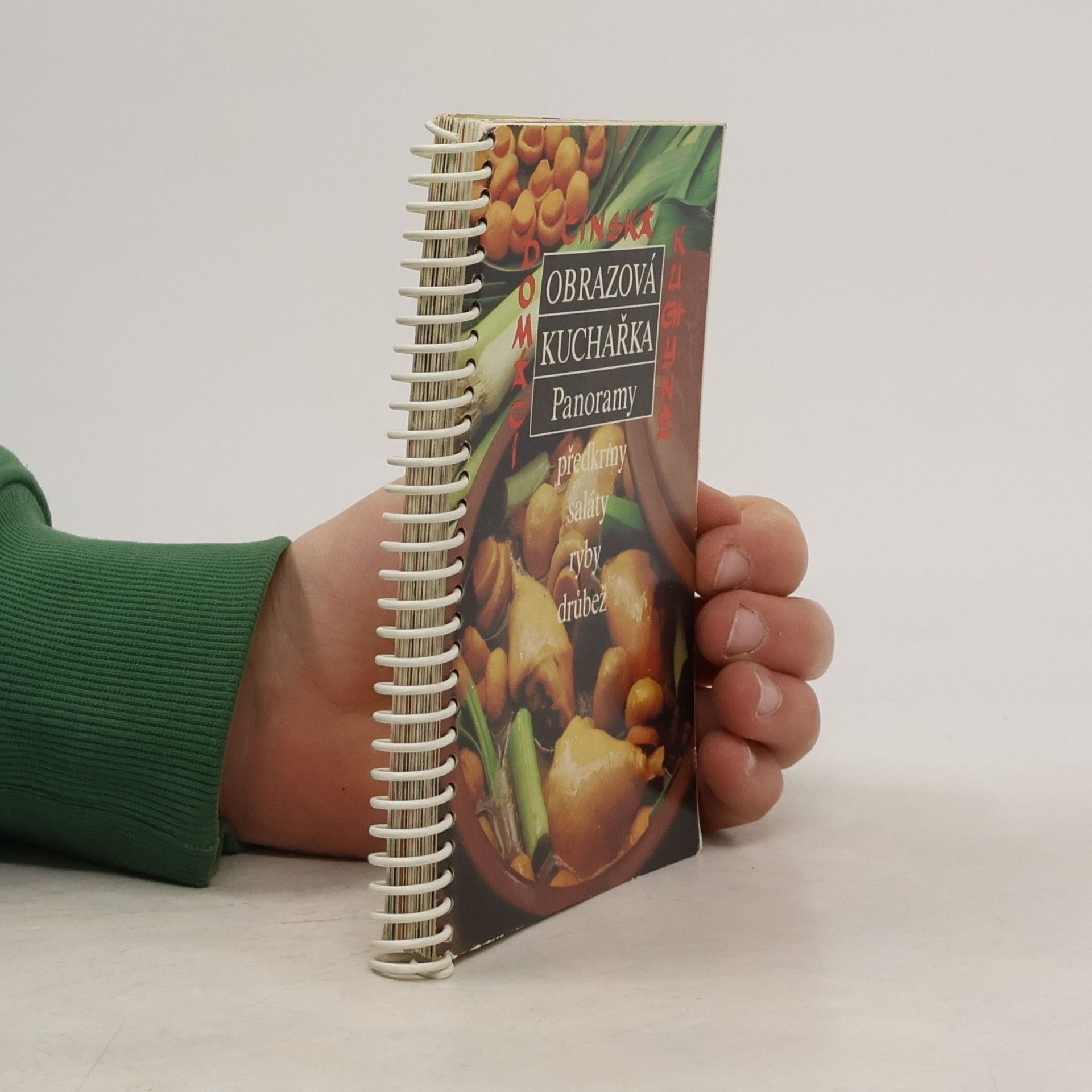 Obrazová kuchařka Panoramy III. Domácí čínská kuchyně